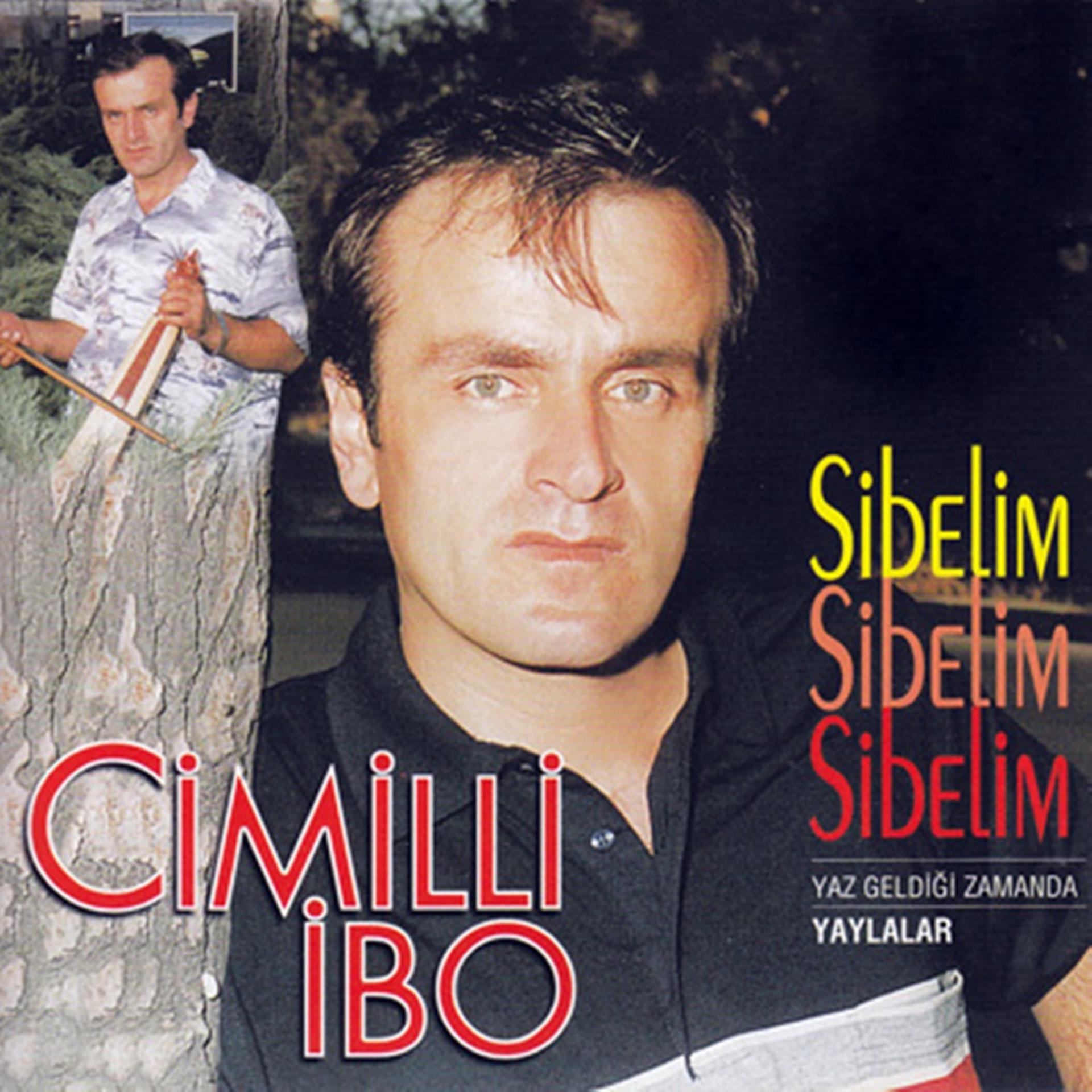 Постер альбома Sibelim
