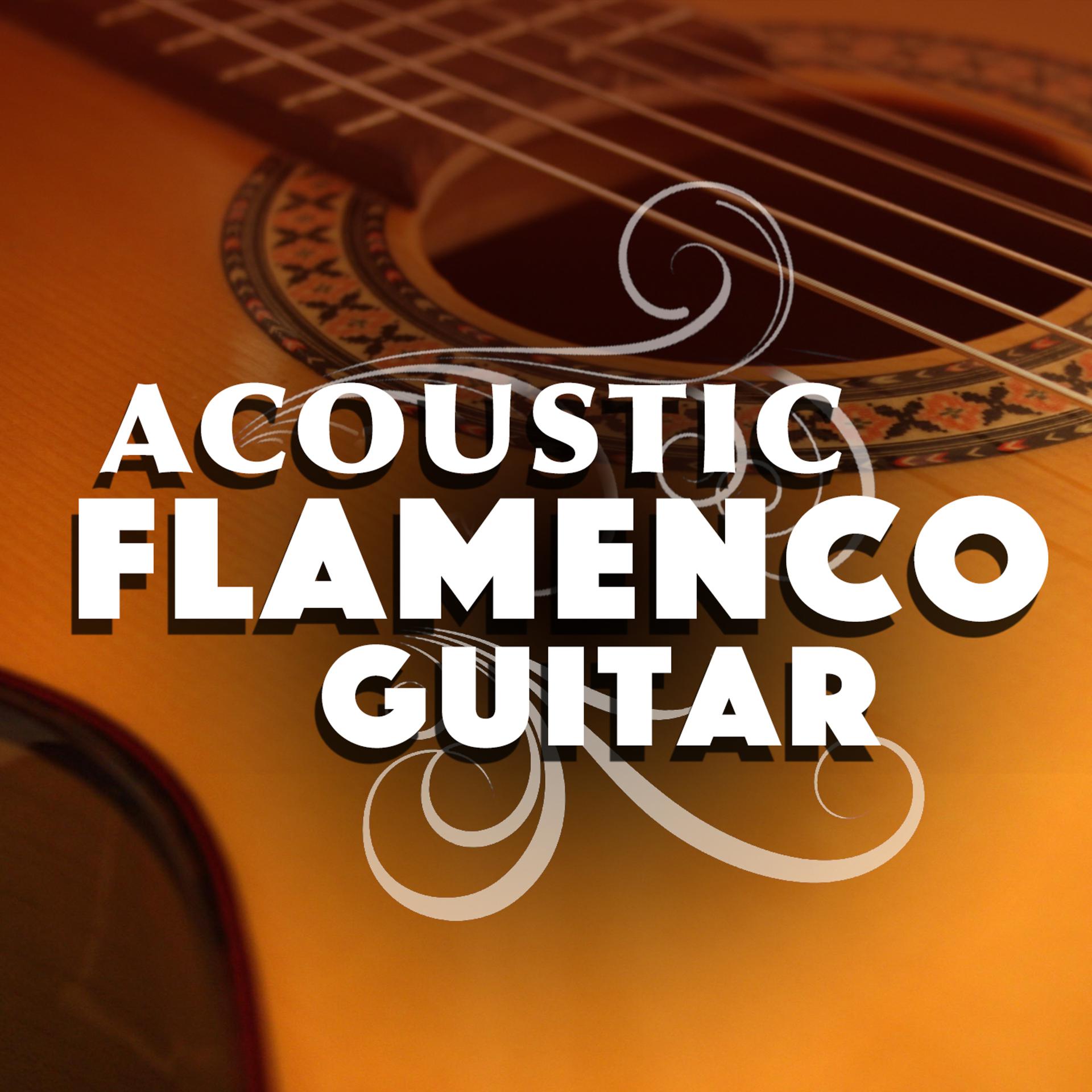 Постер альбома Acoustic Flamenco Guitar