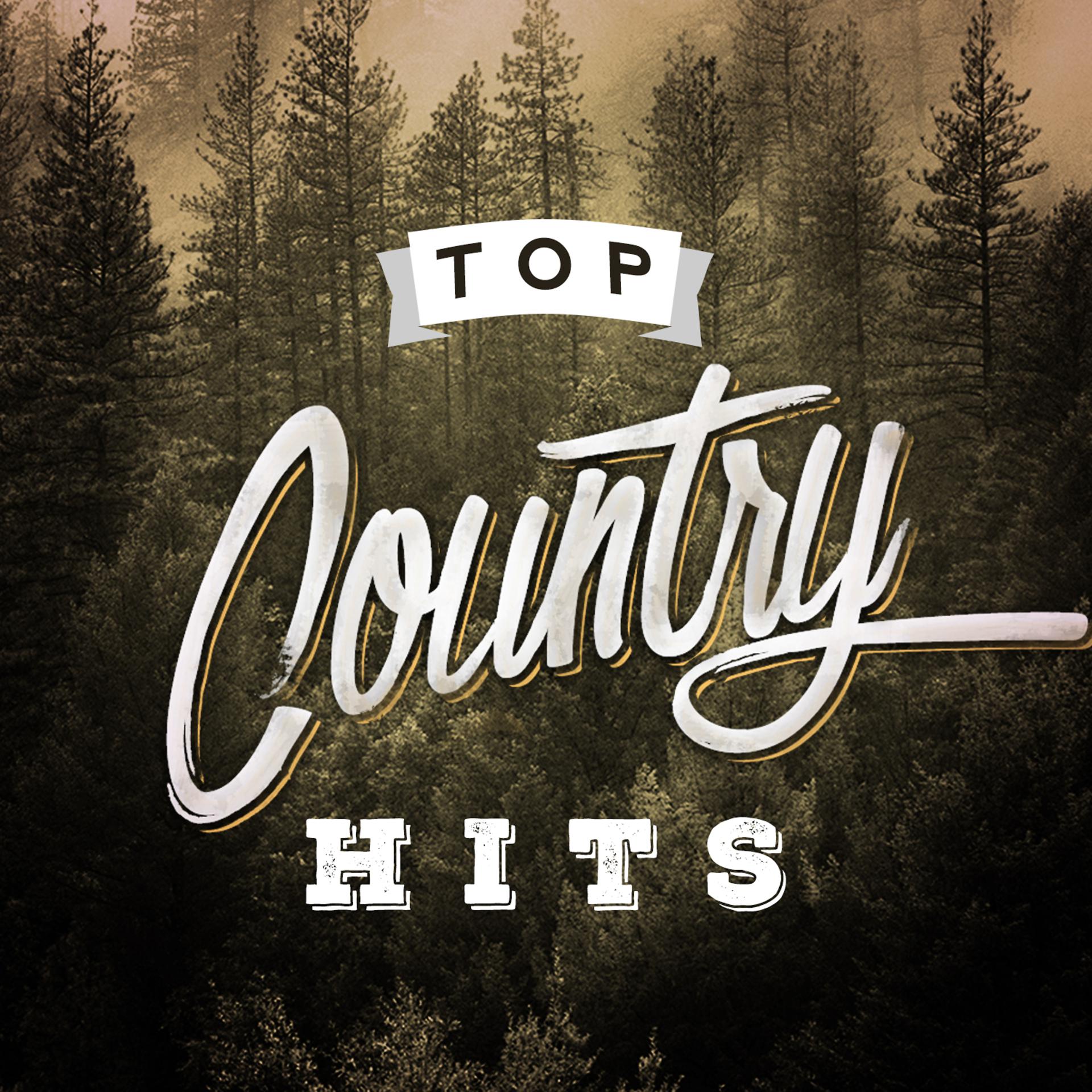 Постер альбома Top Country Hits