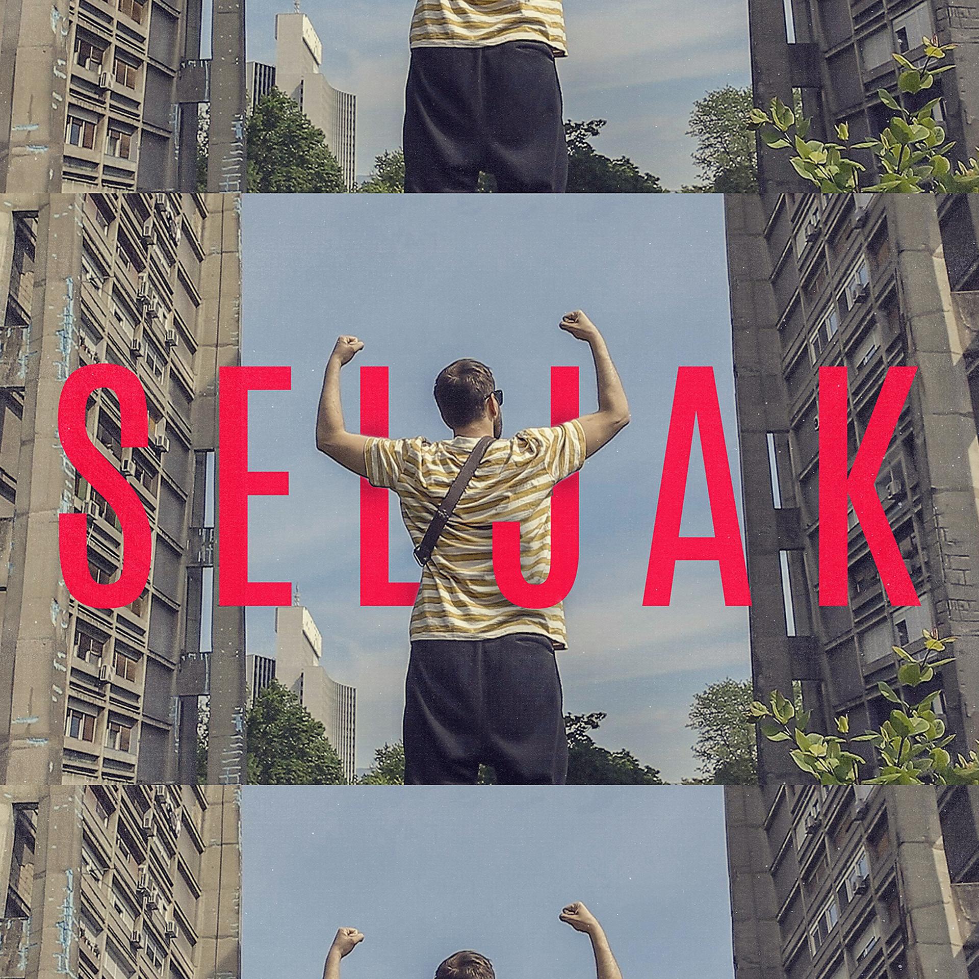 Постер альбома Seljak