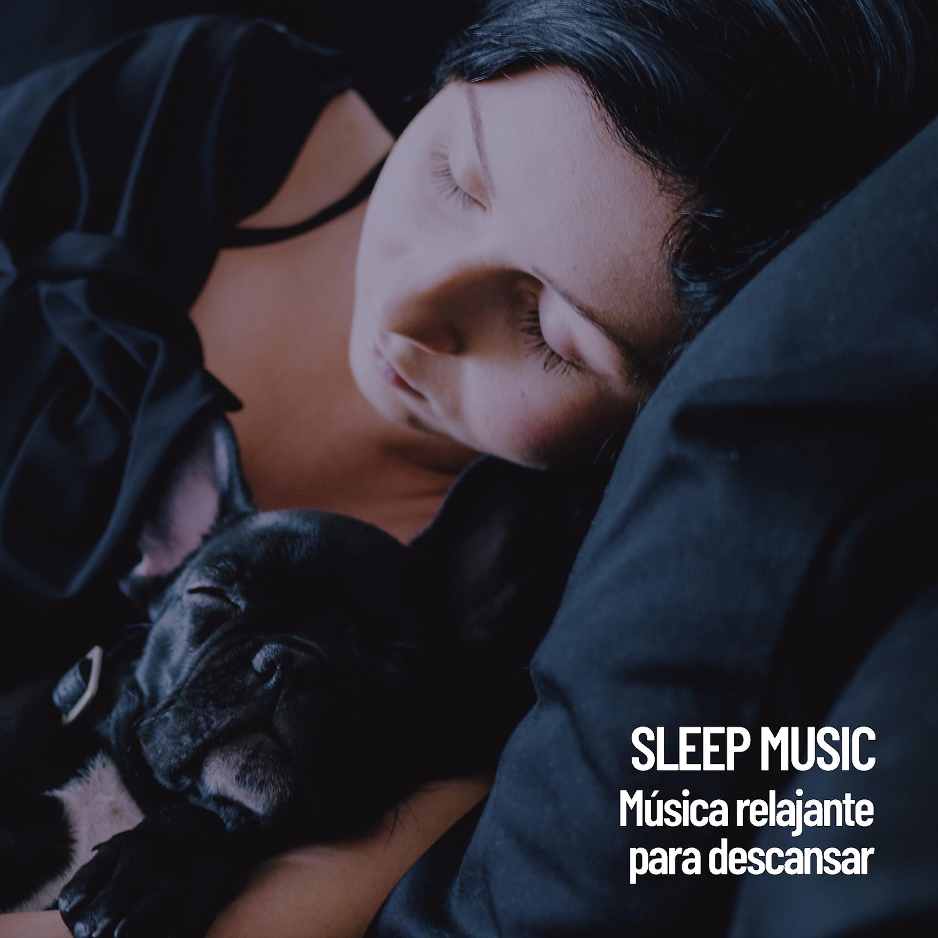 Постер альбома Sleep Music: Relaxing music to rest