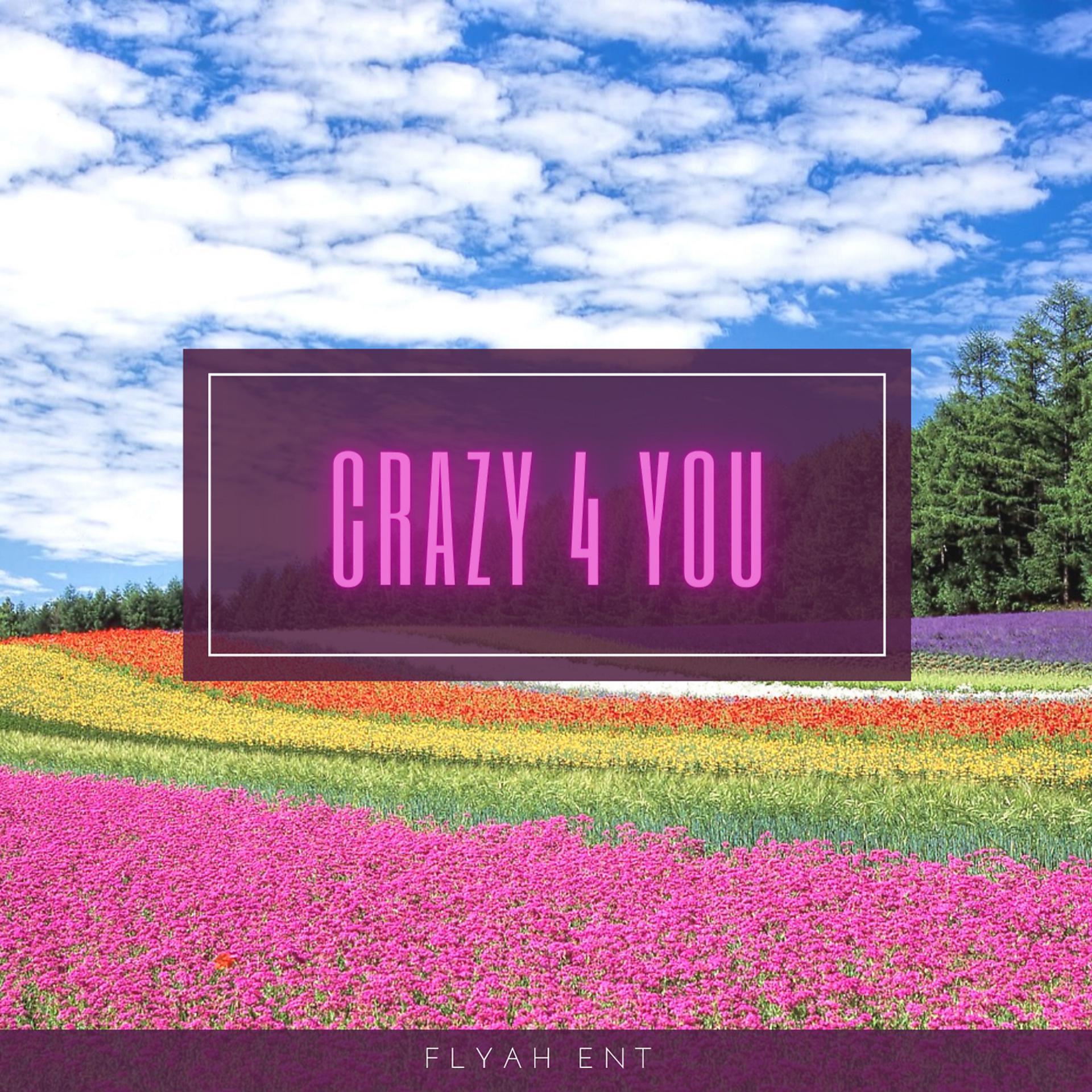 Постер альбома Crazy 4 You