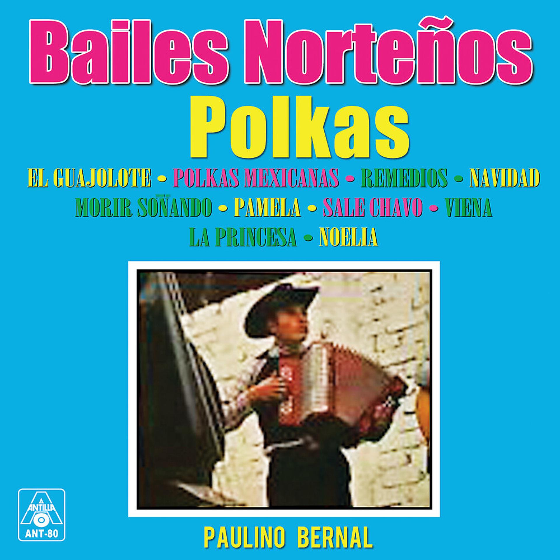 Постер альбома Bailes Norteños Polkas