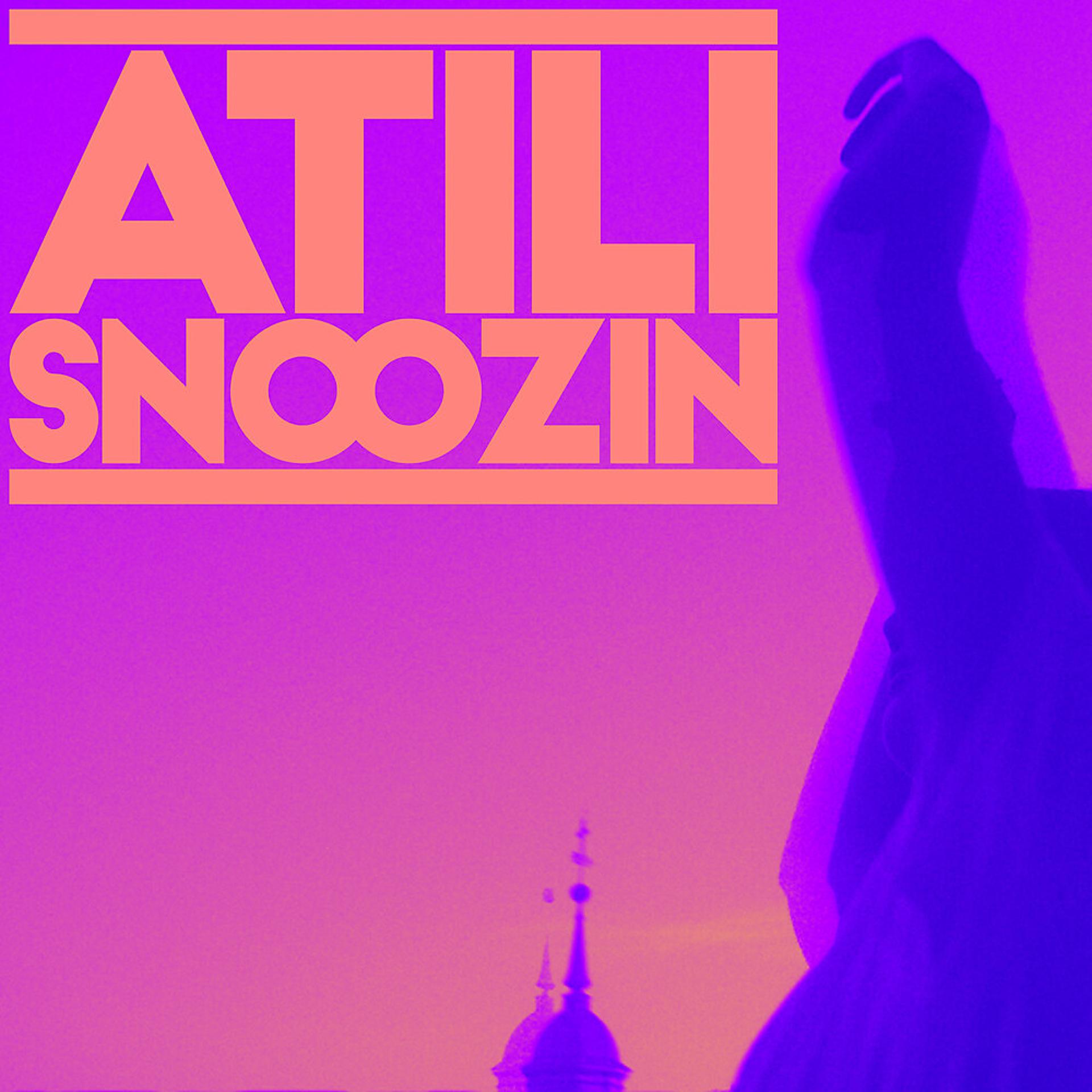 Постер альбома Snoozin