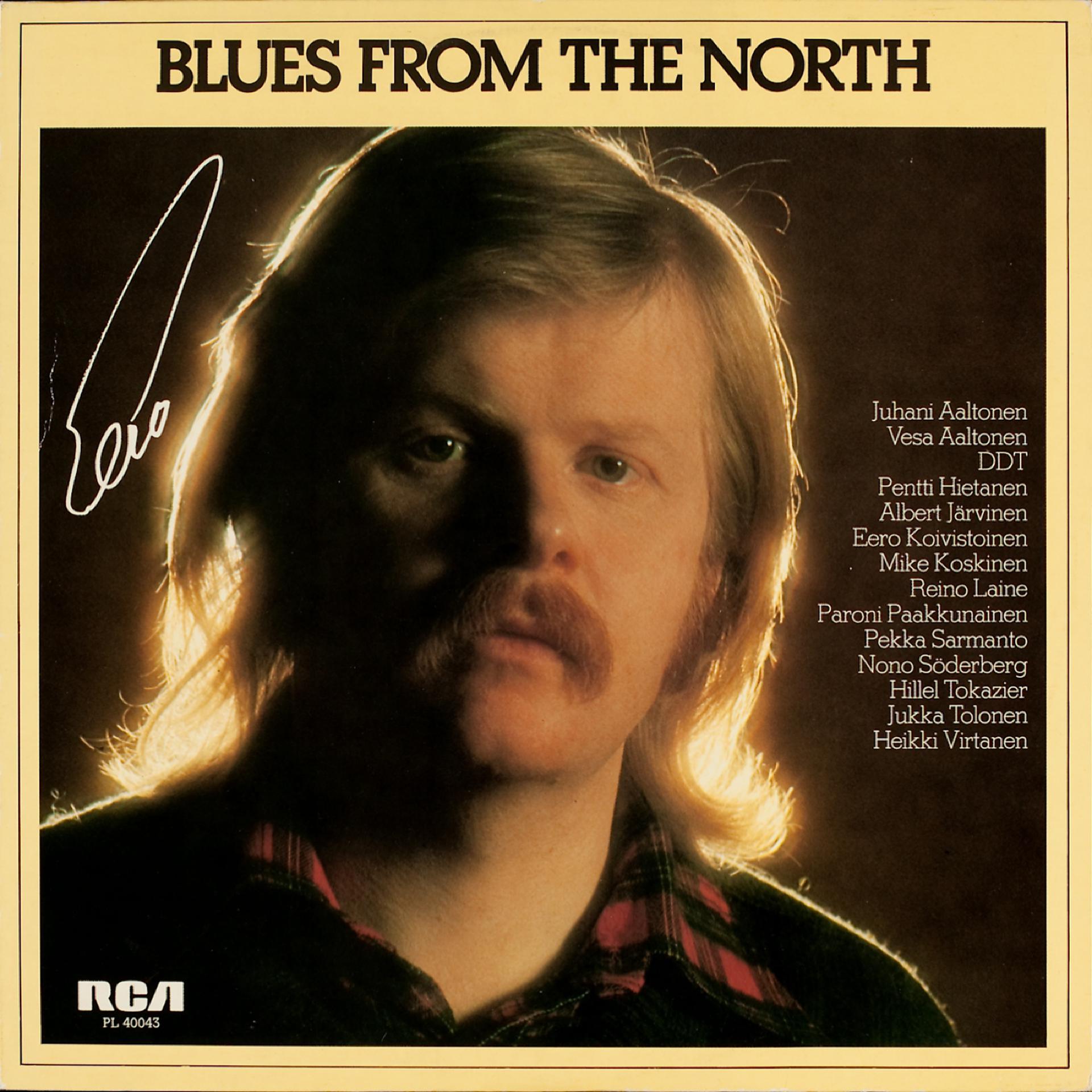 Постер альбома Blues From The North