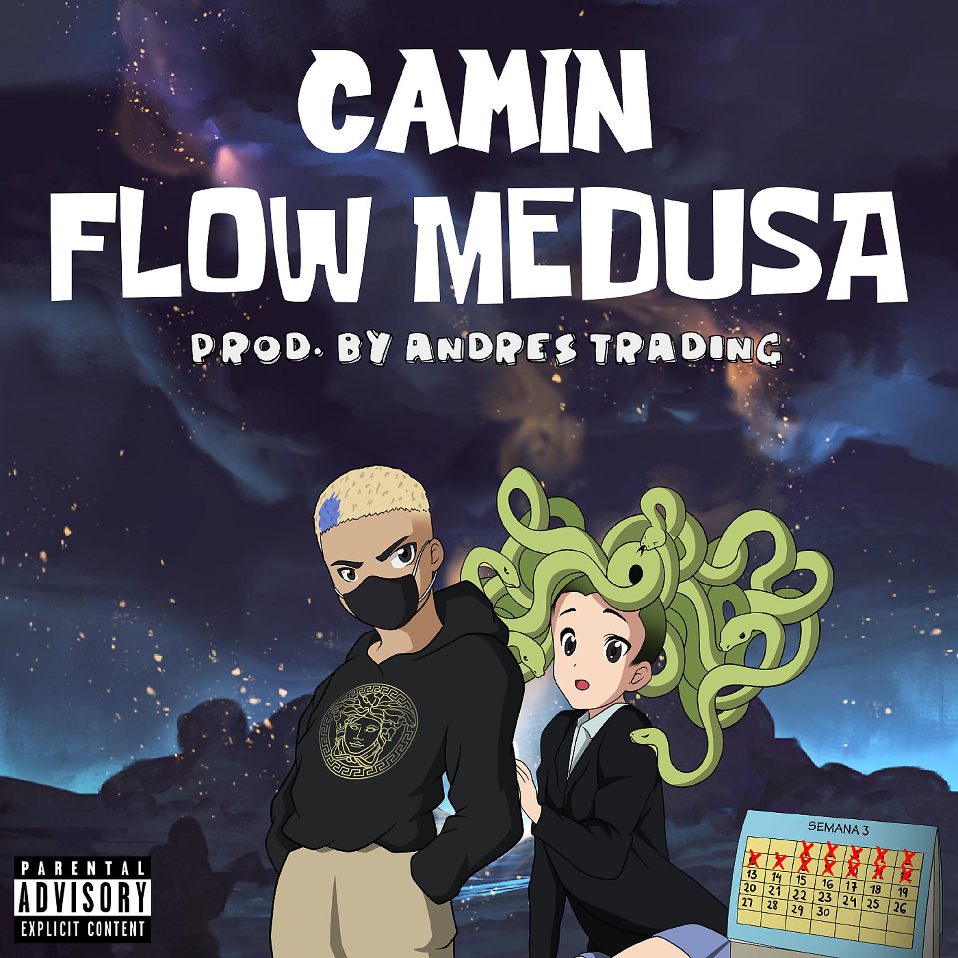 Постер альбома Flow Medusa