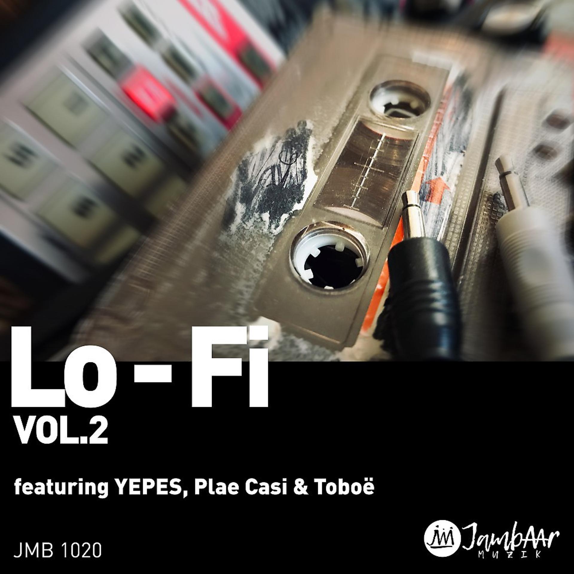 Постер альбома Lo-Fi, Vol. 2