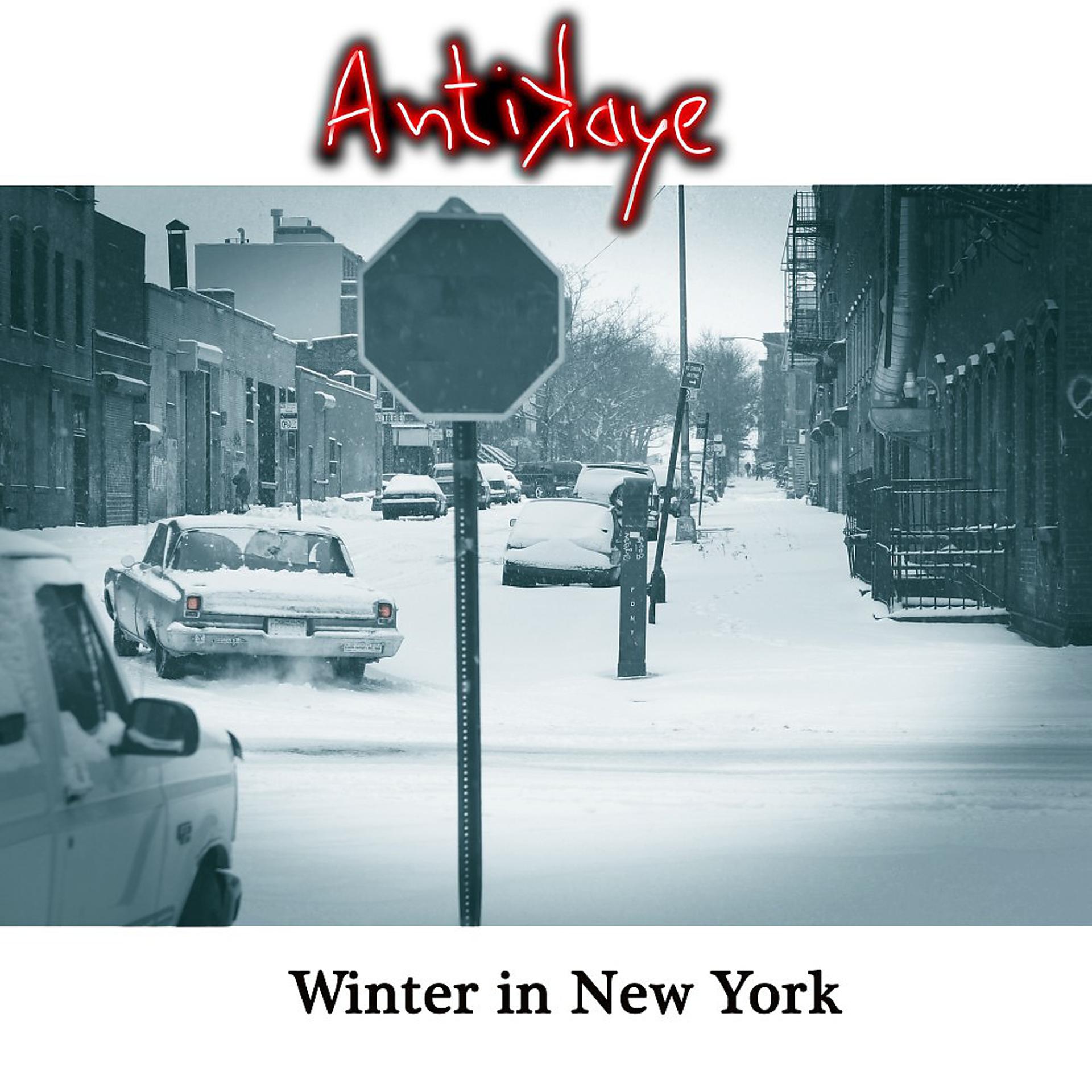 Постер альбома Winter in New York (Single Version)