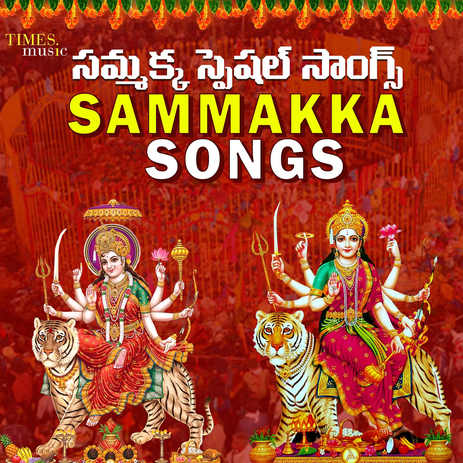 Постер альбома Sammakka Songs