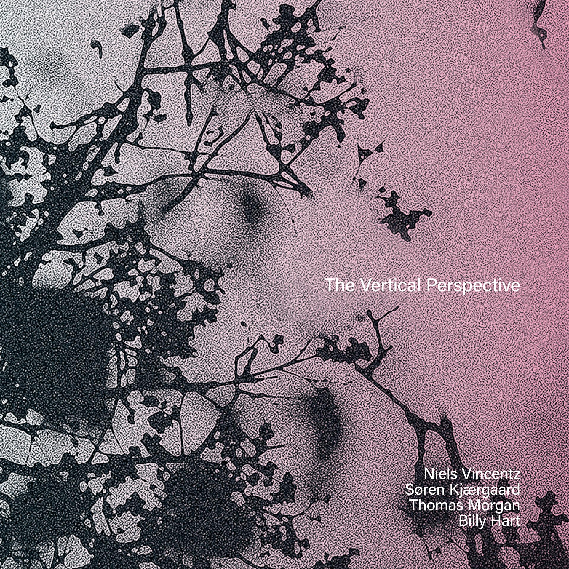 Постер альбома The Vertical Perspective