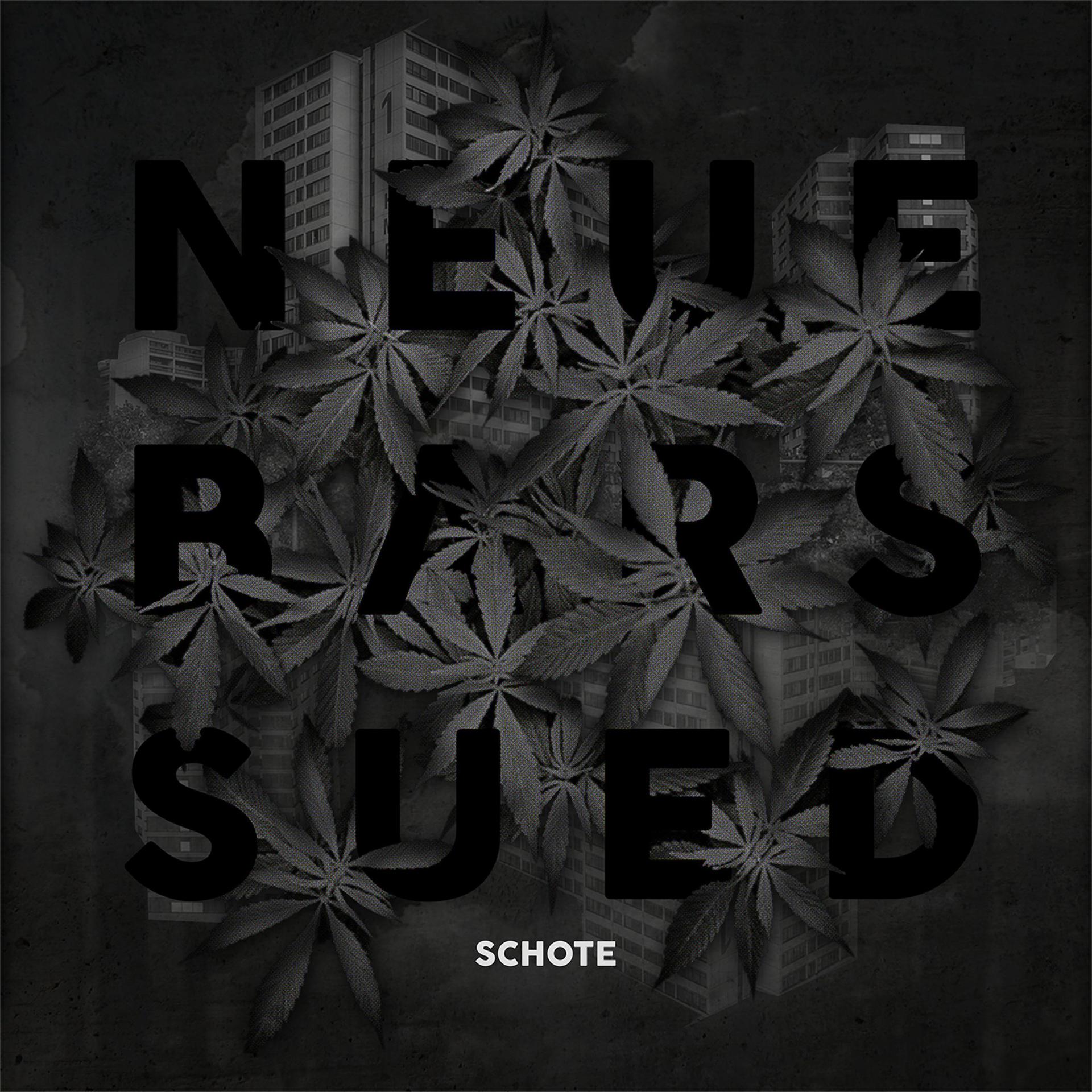 Постер альбома Neue Bars Sued