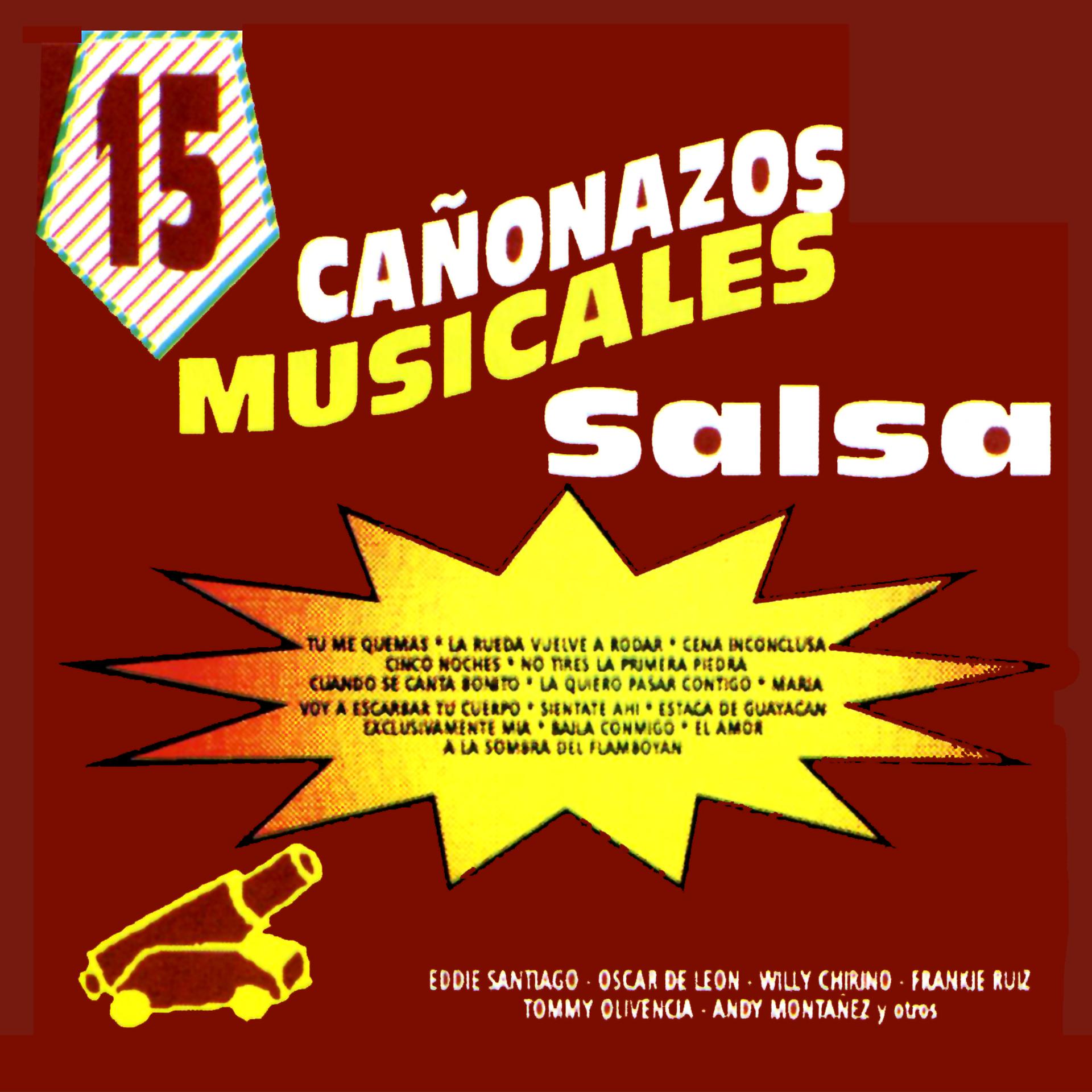 Постер альбома 15 Canonazos Musicales Con Salsa
