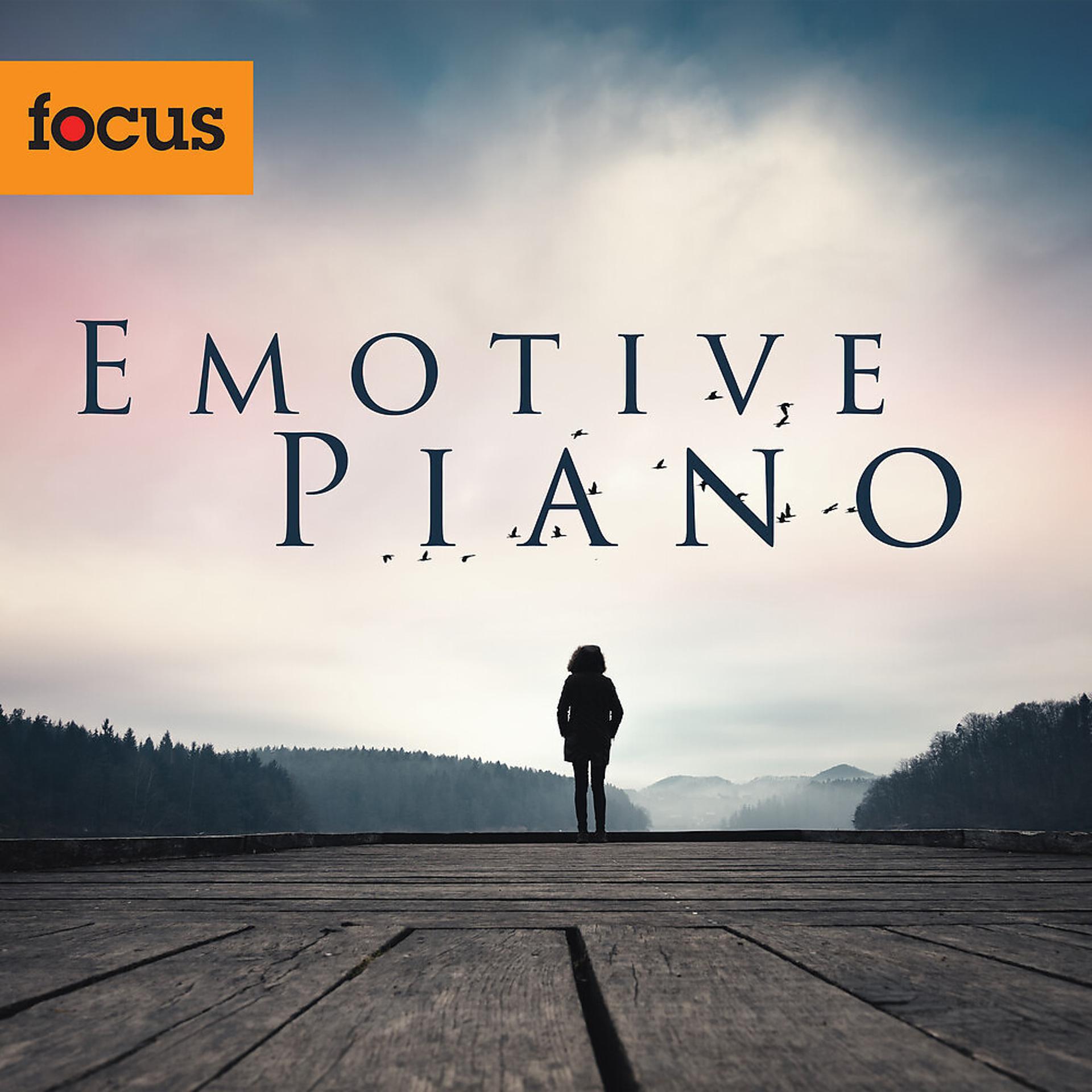 Постер альбома Emotive Piano