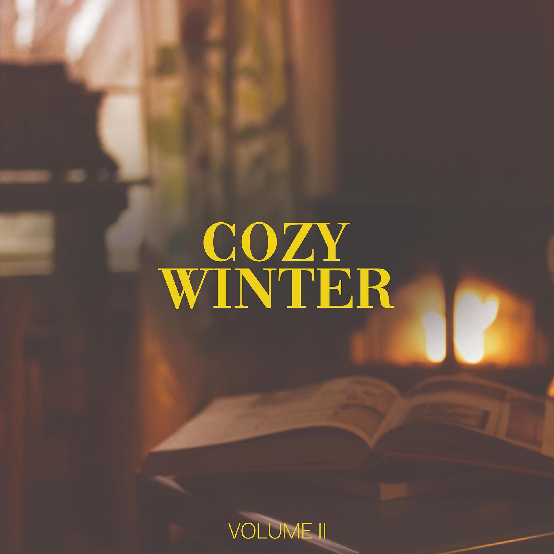 Постер альбома Cozy Winter, Vol. 2