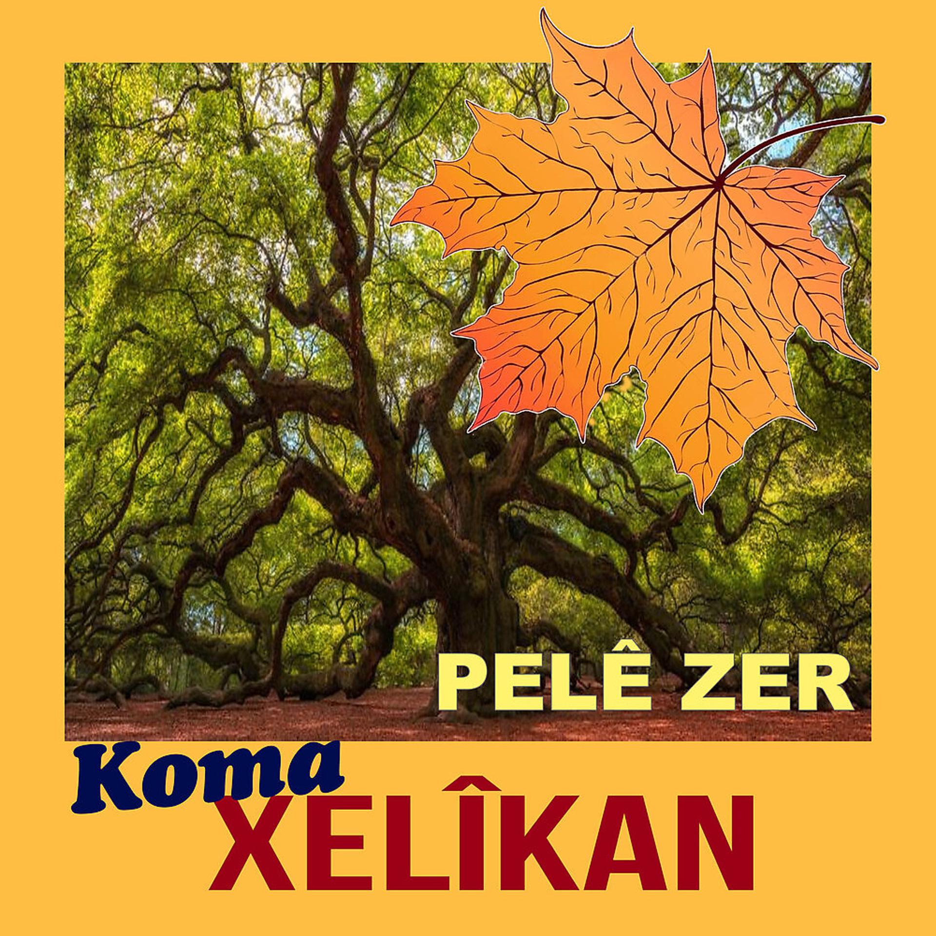 Постер альбома Pelê Zer