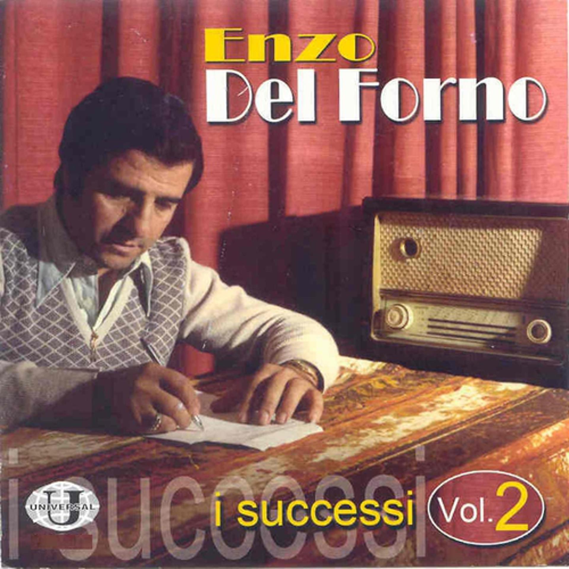 Постер альбома Enzo Del Forno: i successi, vol. 2