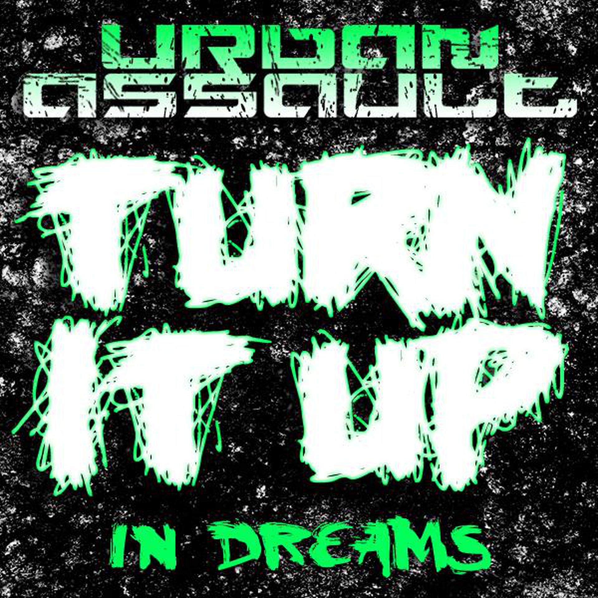 Постер альбома Turn It Up / In Dreams