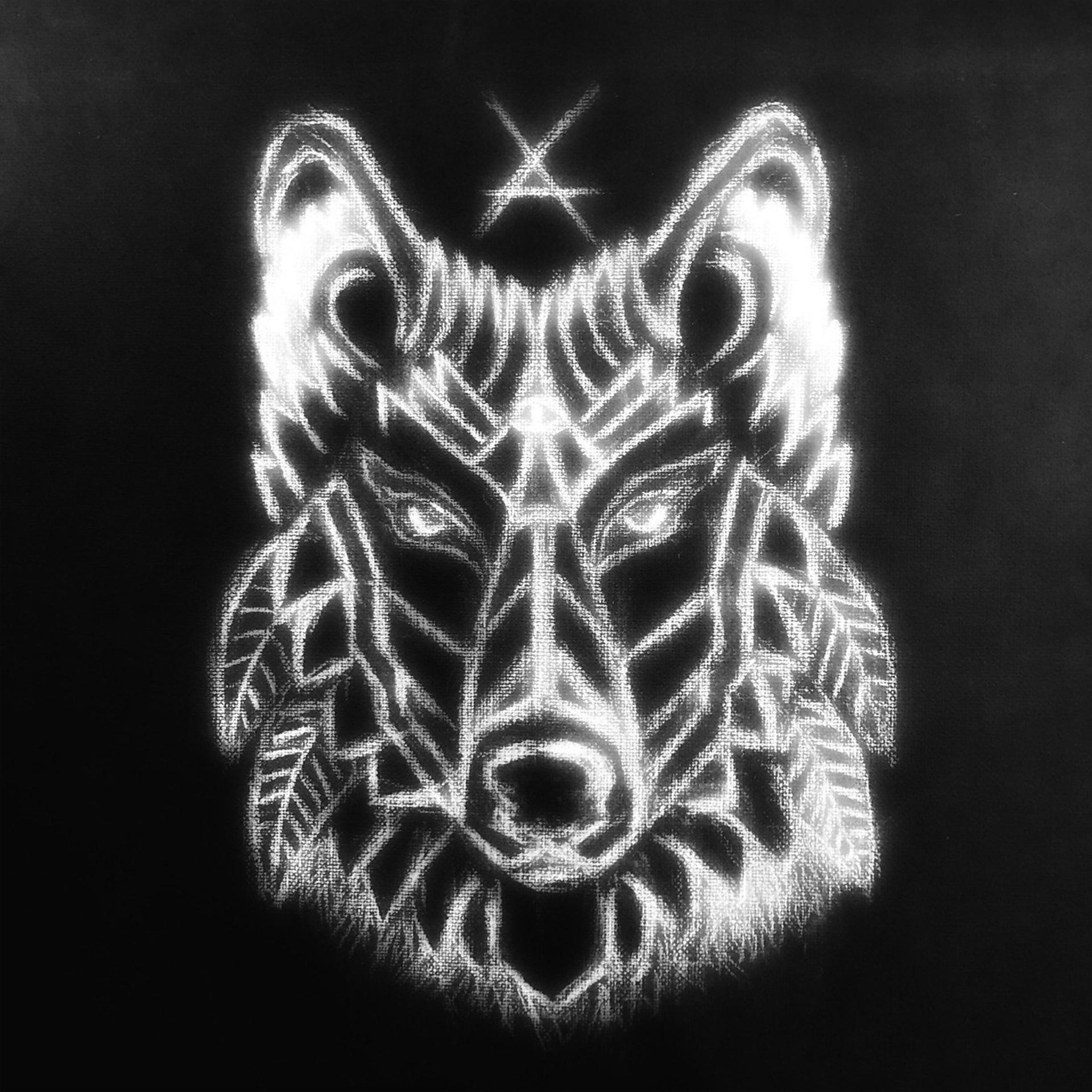 Постер альбома Черно-белый волк