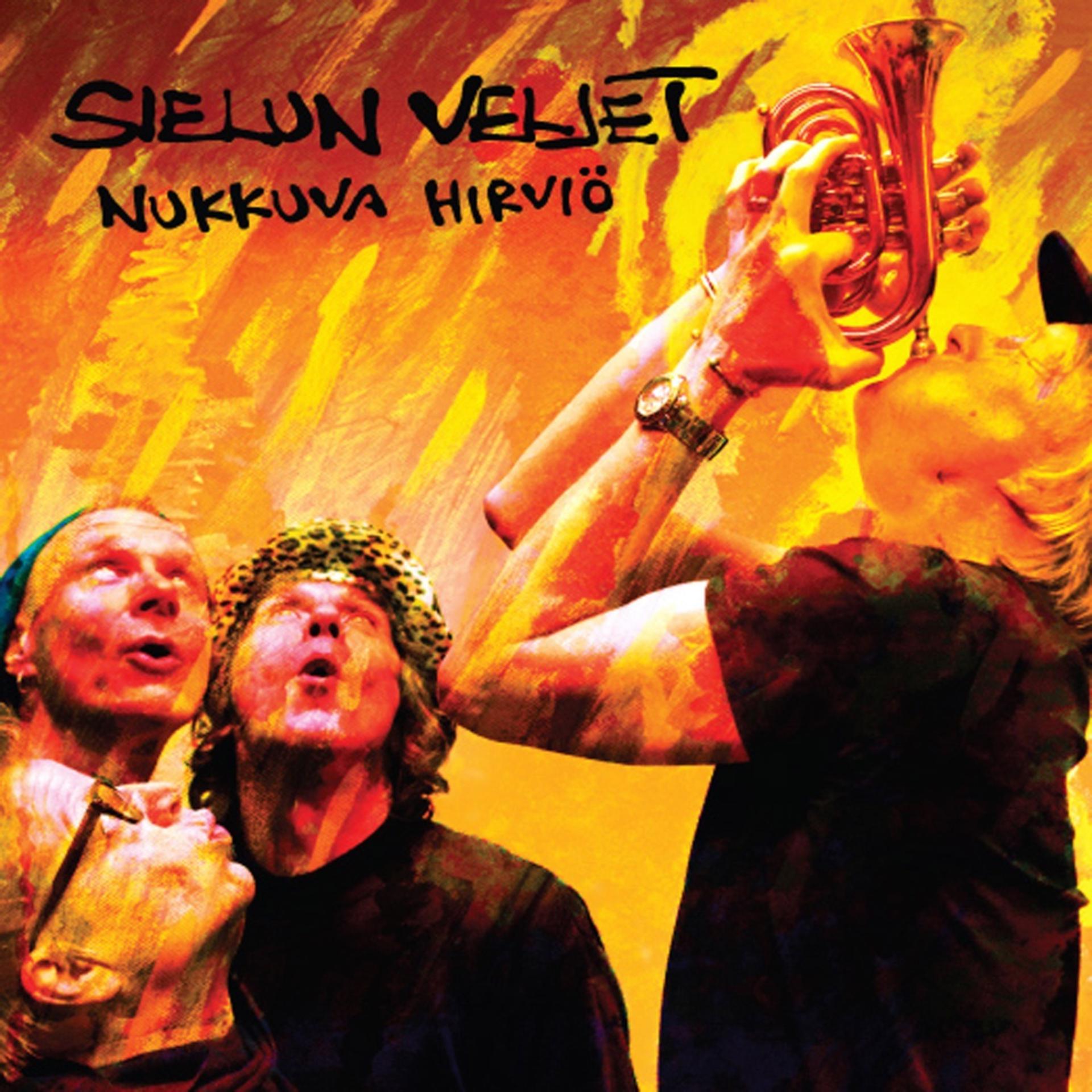 Постер альбома Nukkuva hirviö - single