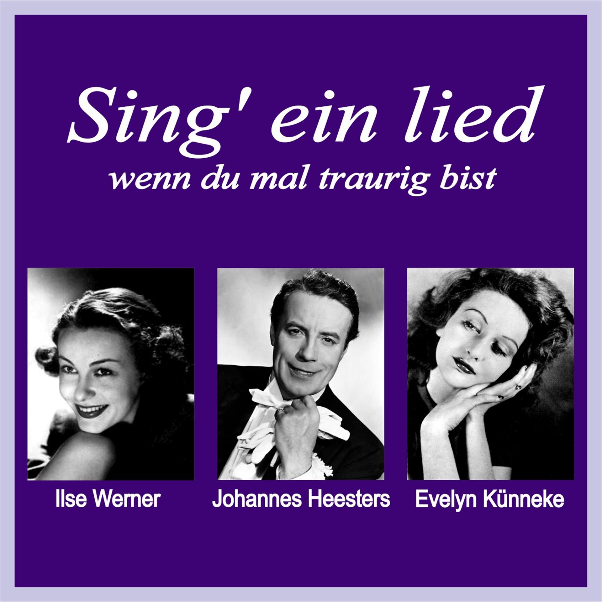 Постер альбома Sing' ein lied, wenn du mal traurig bist