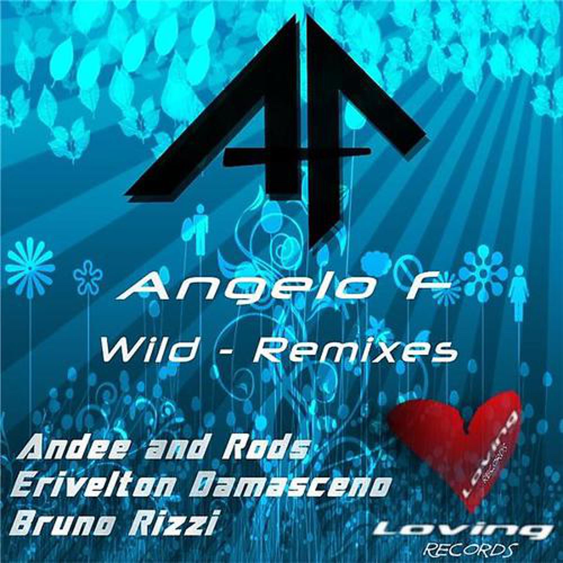 Постер альбома Wild Remixes