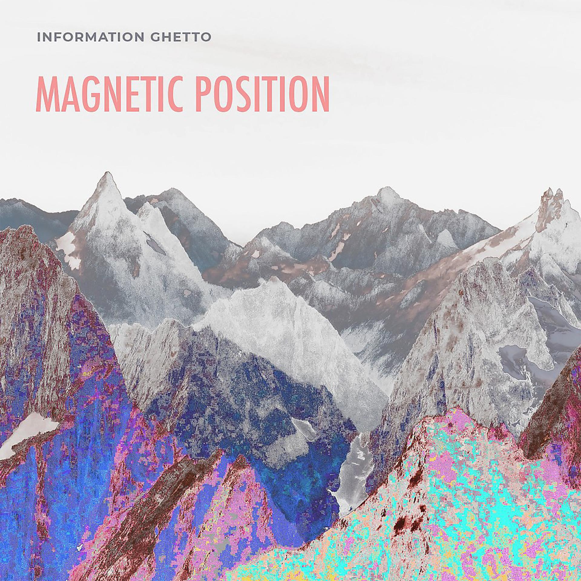 Постер альбома Magnetic Position
