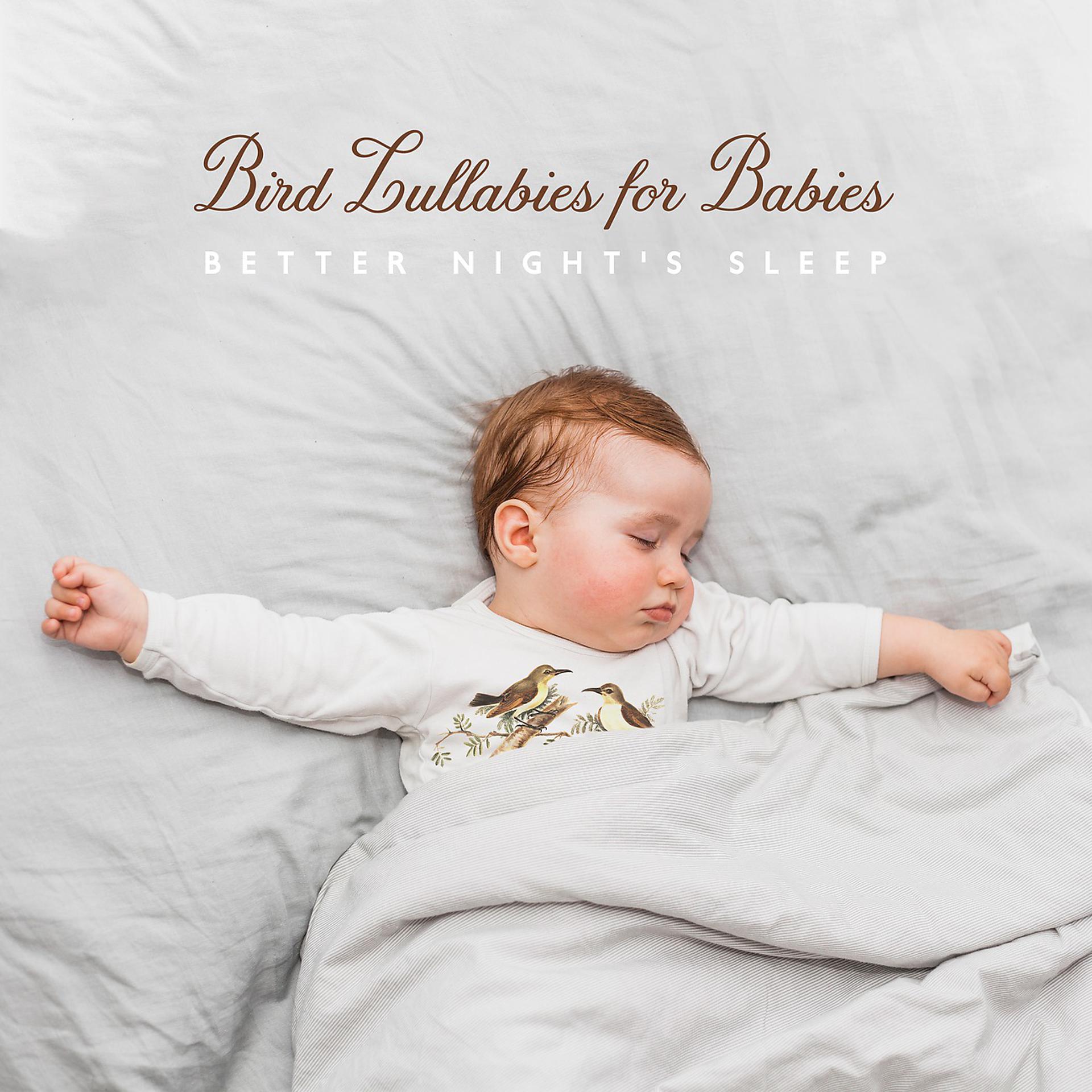 Постер альбома Bird Lullabies for Babies. Better Night's Sleep (Relaxation, Good Mood)