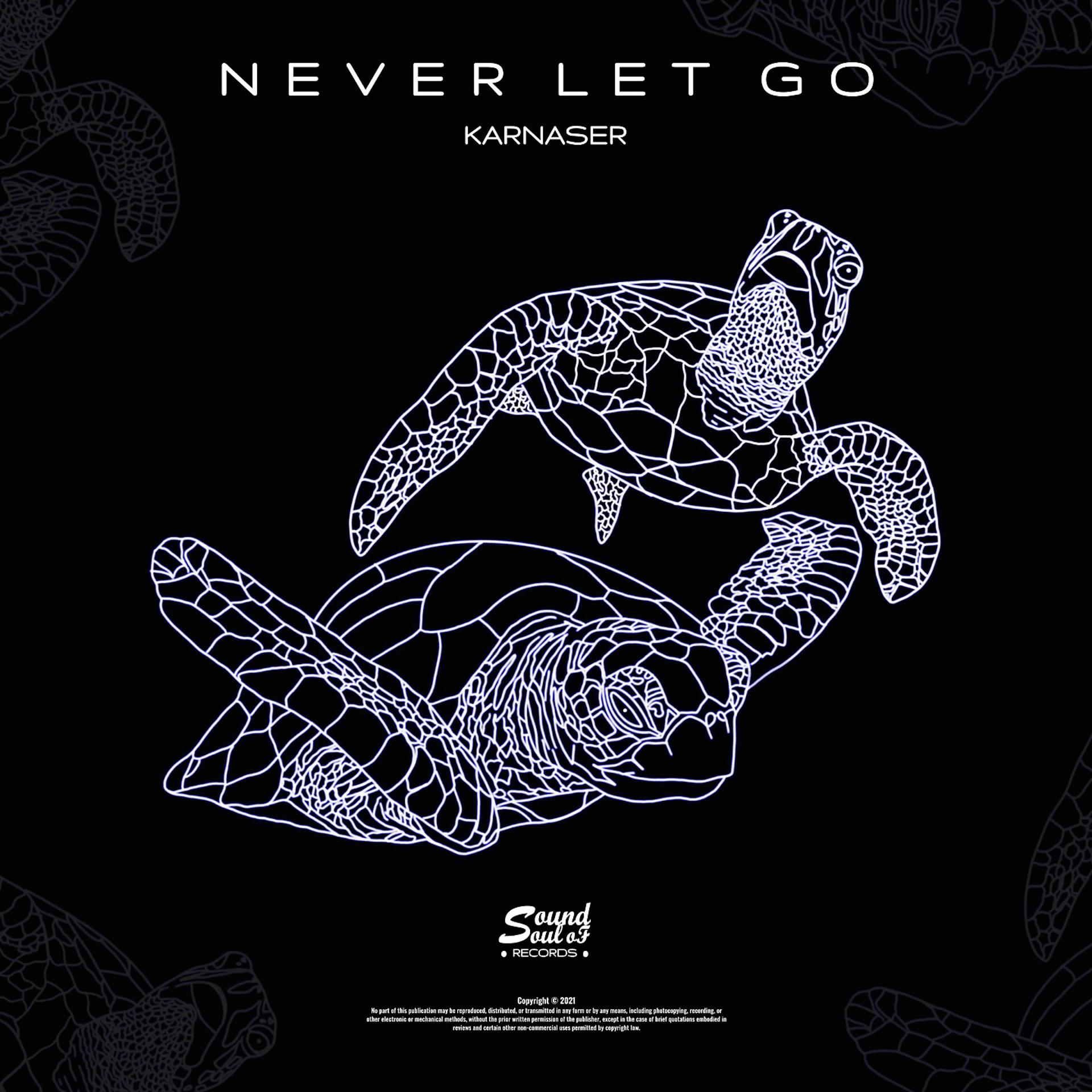 Постер альбома Never Let Go