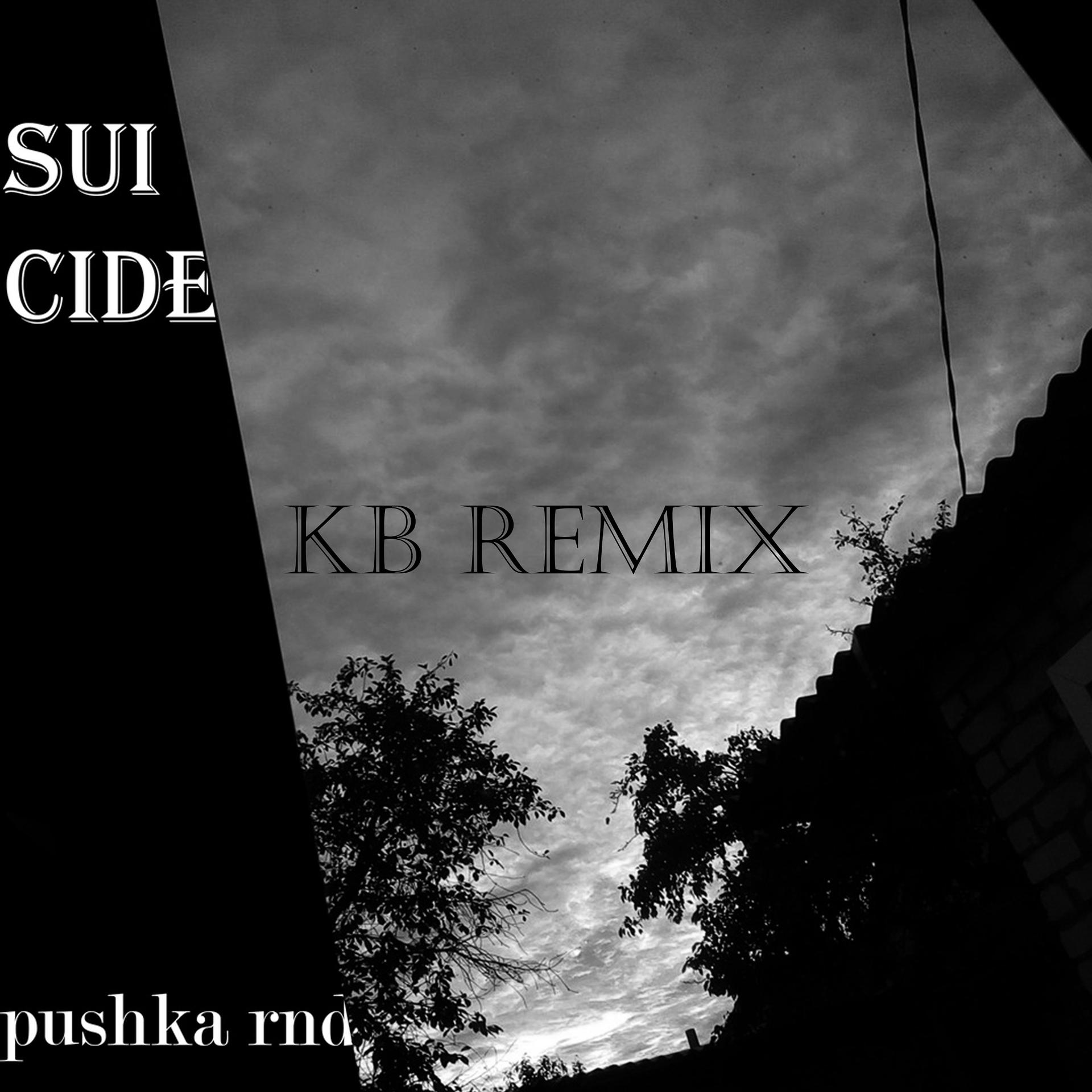 Постер альбома Suicide (Kb Remix)