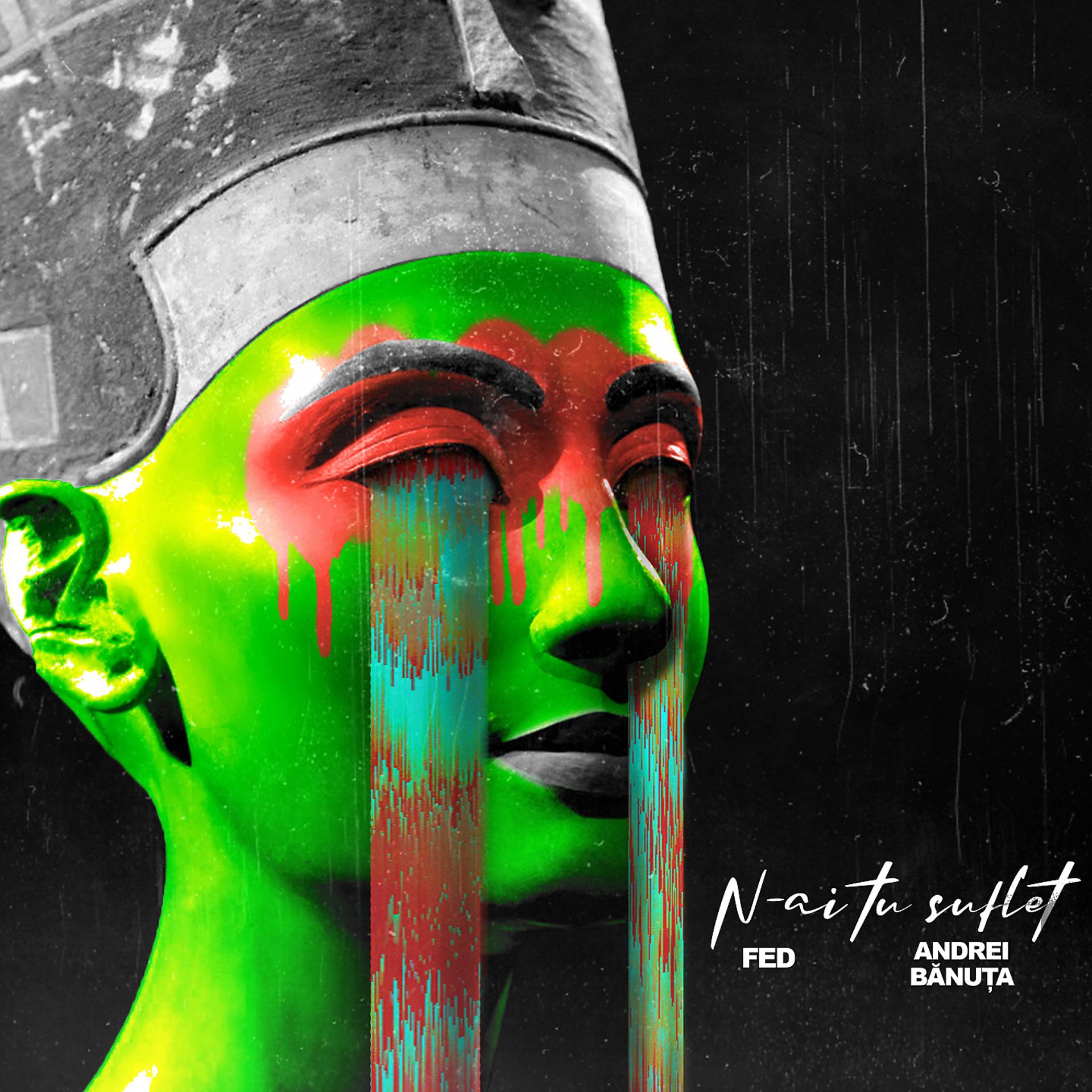 Постер альбома N-Ai Tu Suflet
