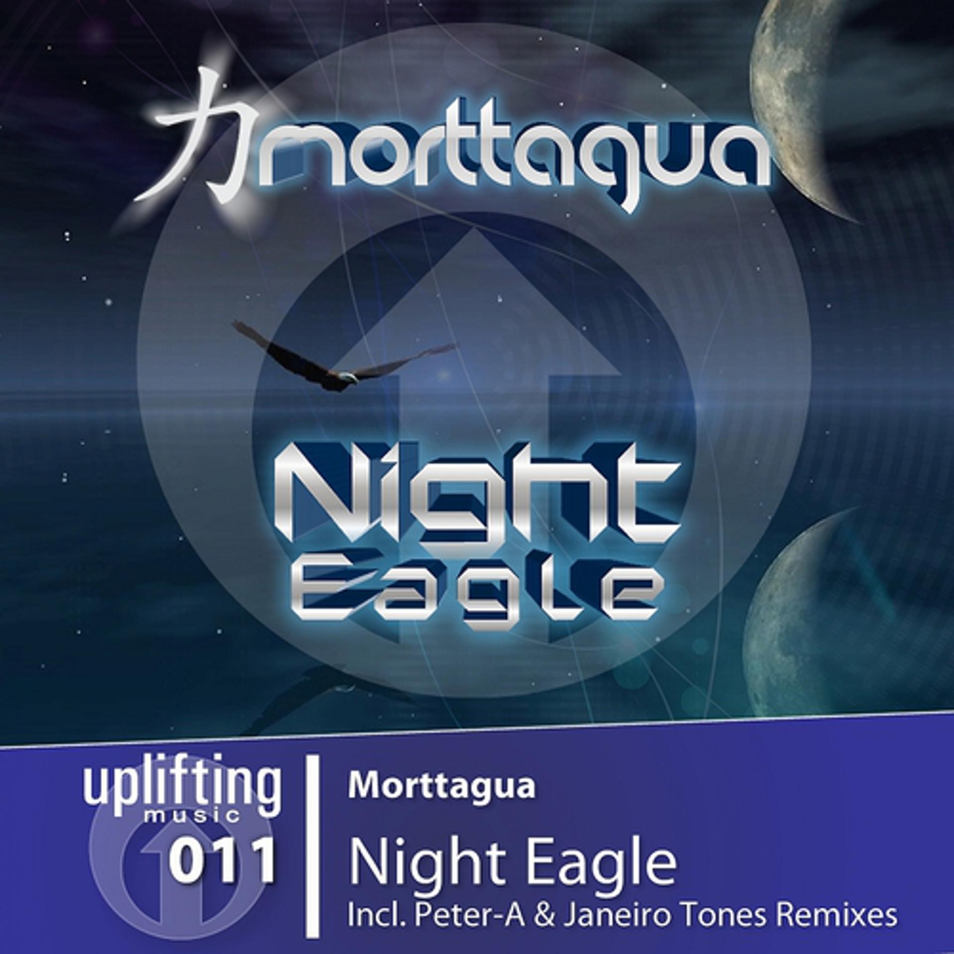 Постер альбома Night Eagle