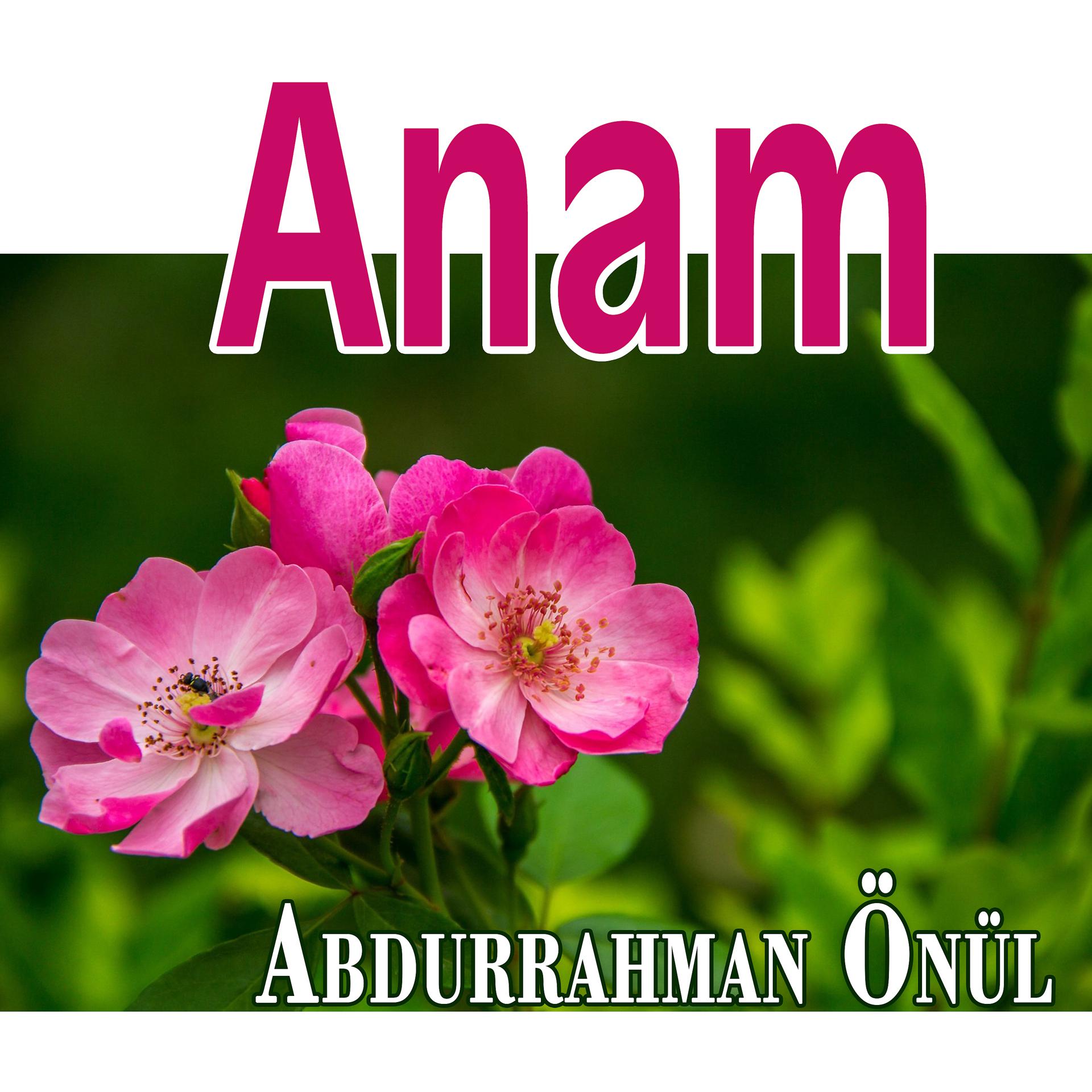 Постер альбома Anam
