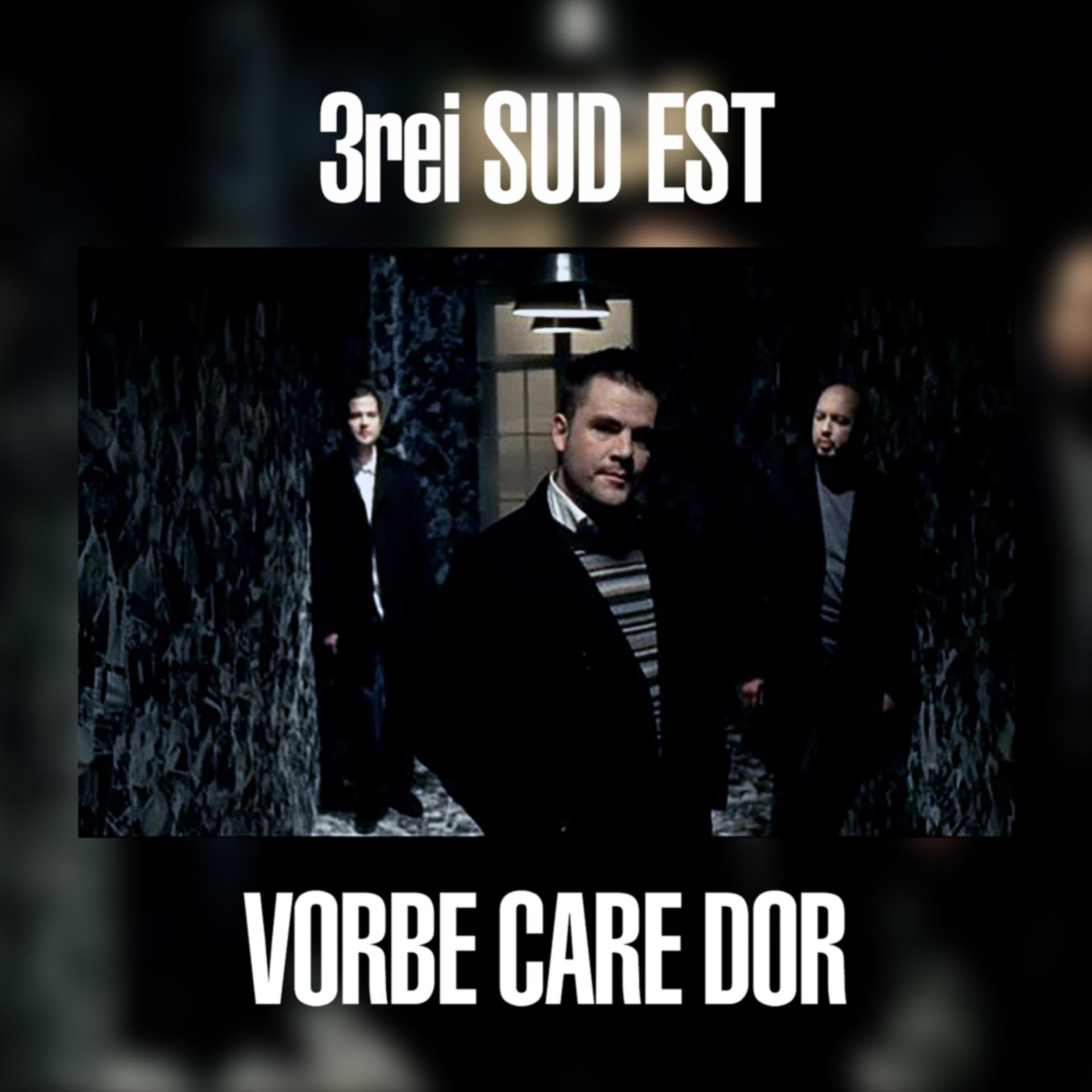 Постер альбома Vorbe Care Dor