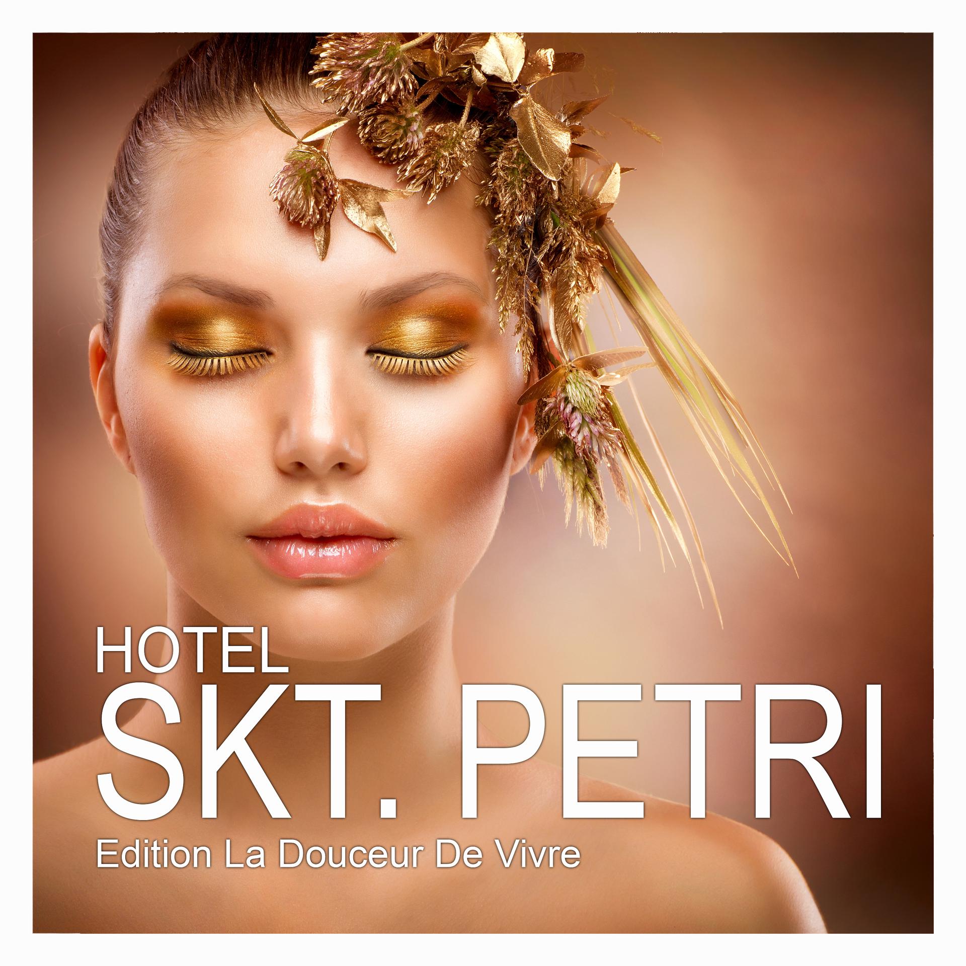 Постер альбома Hotel Skt. Petri - Edition La Douceur De Vivre