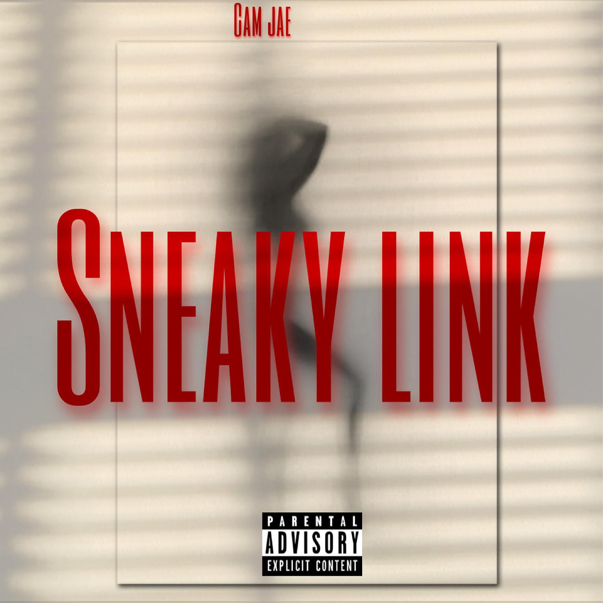 Постер альбома Sneaky Link