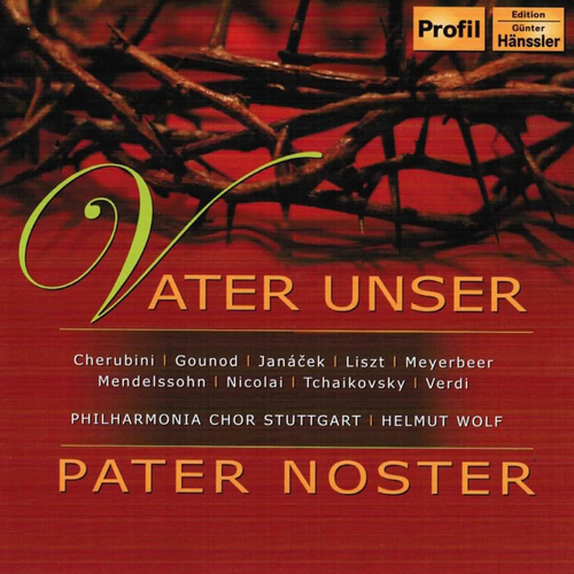 Постер альбома Vater Unser & Pater Noster