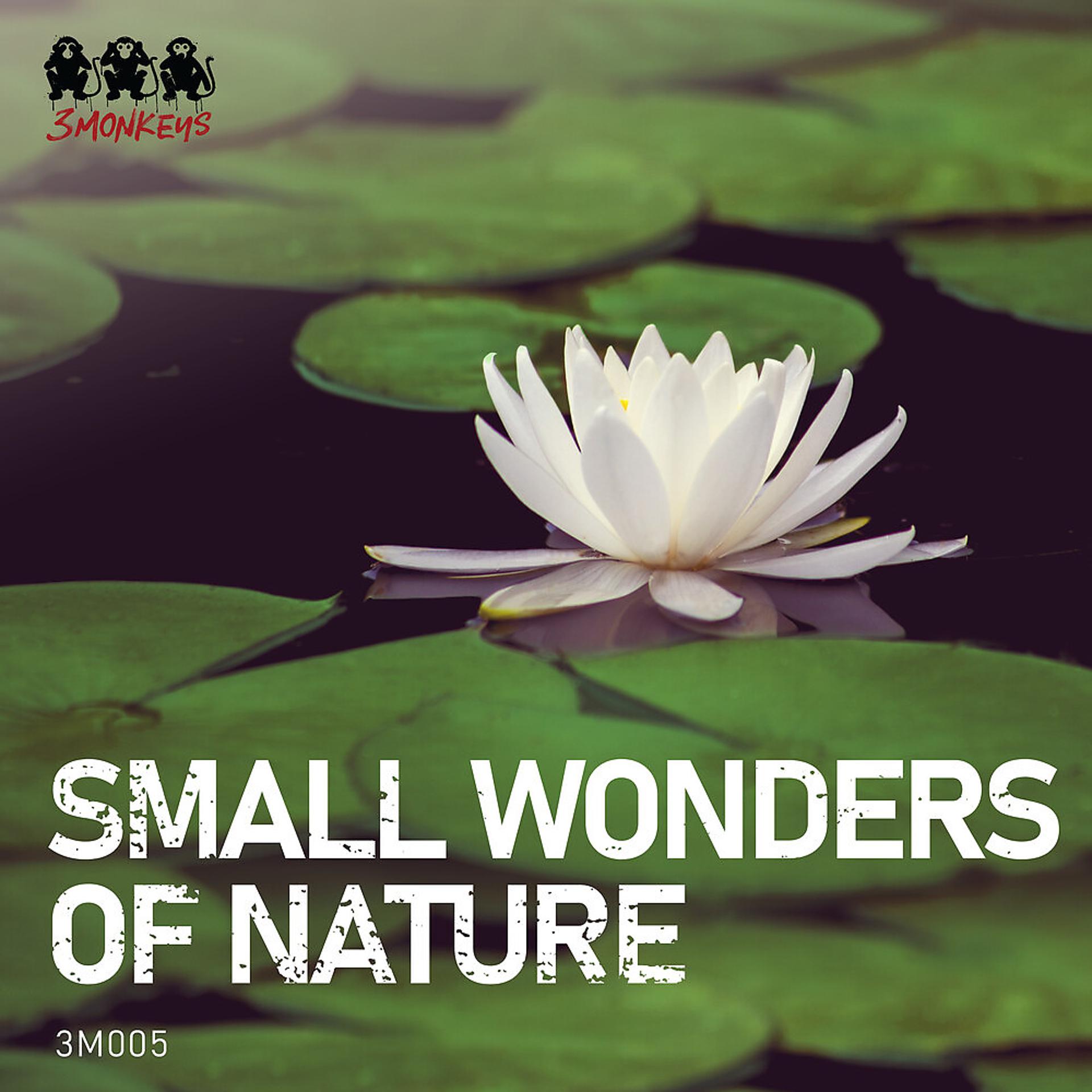 Постер альбома Small Wonders of Nature