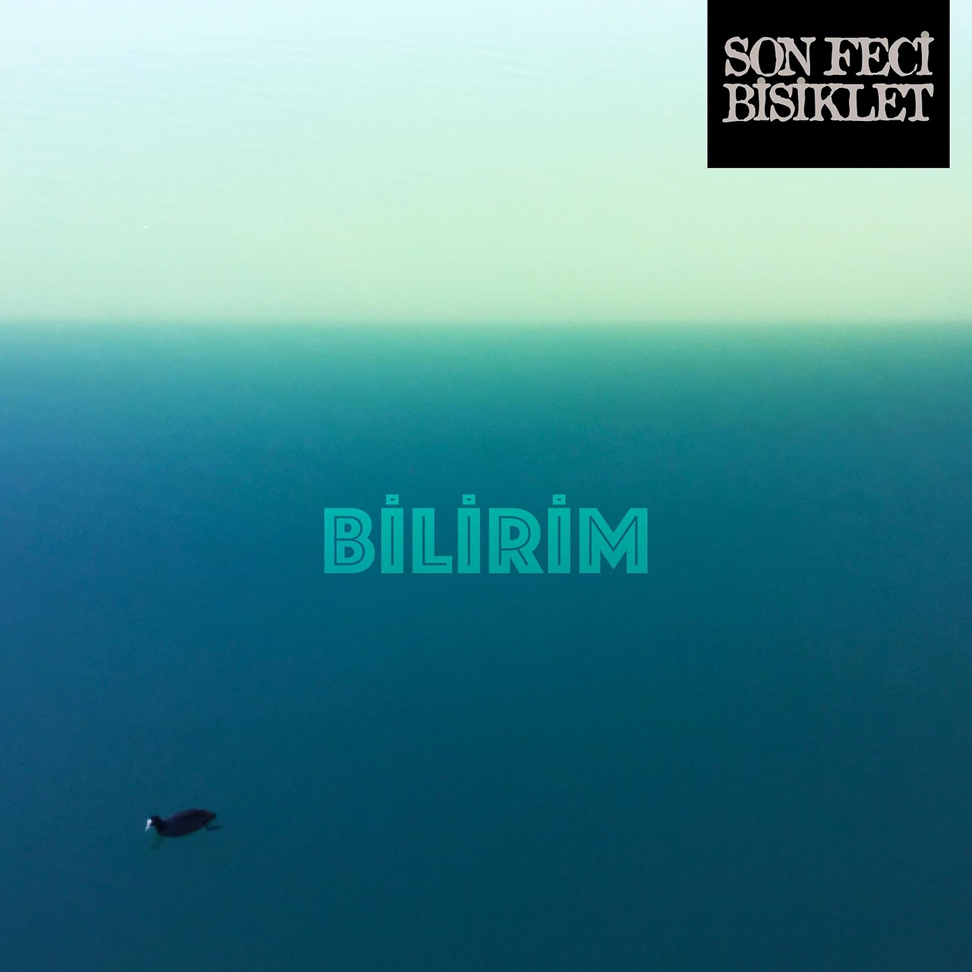 Постер альбома Bilirim
