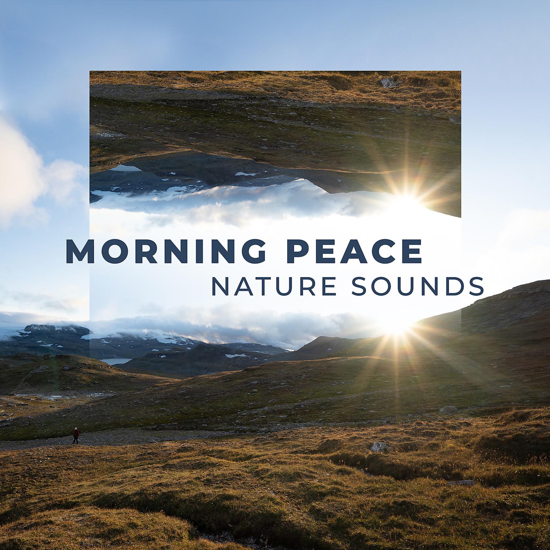 Постер альбома Morning Peace