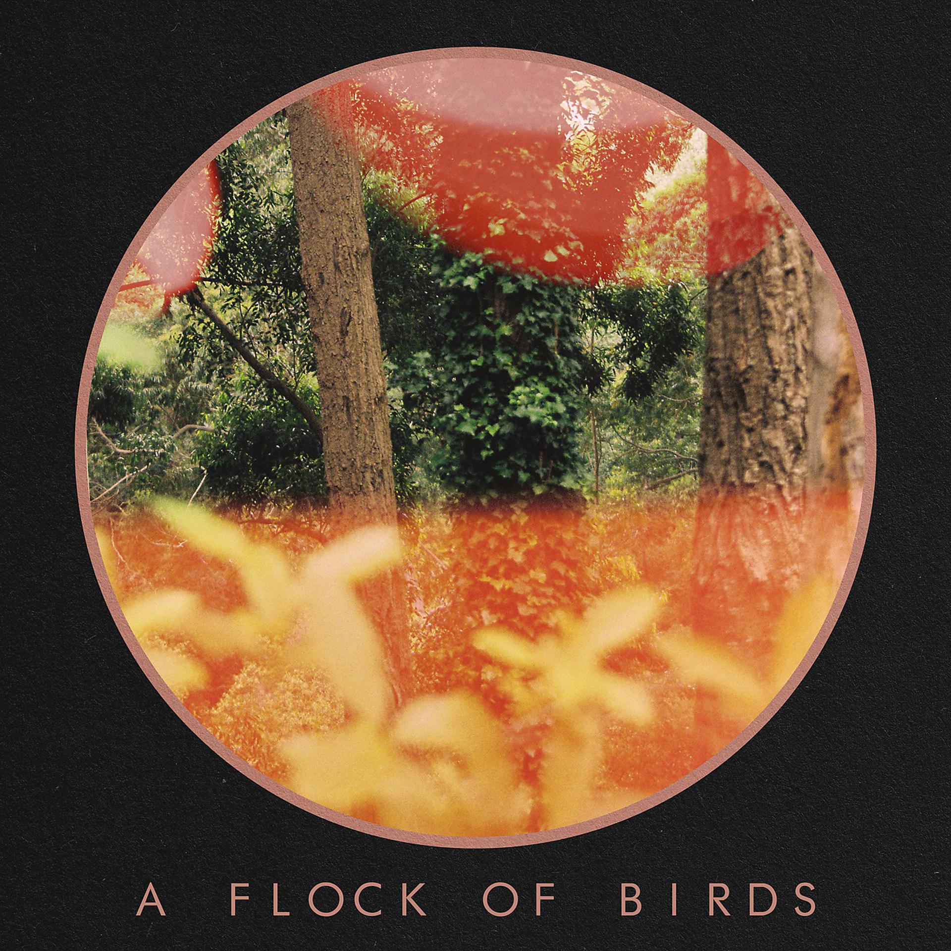 Постер альбома A Flock of Birds