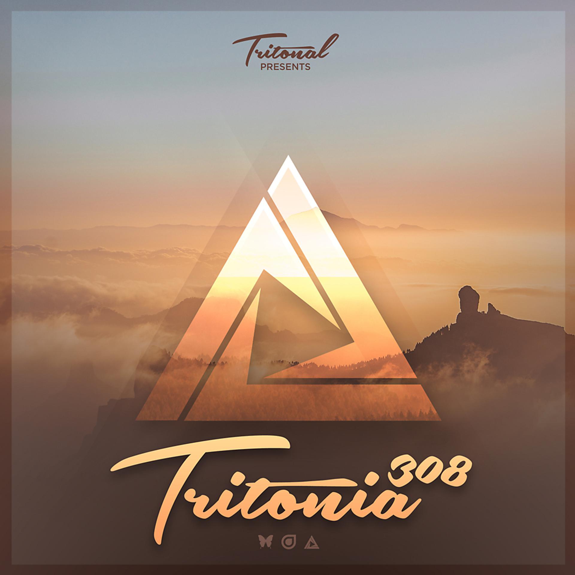 Постер альбома Tritonia 308
