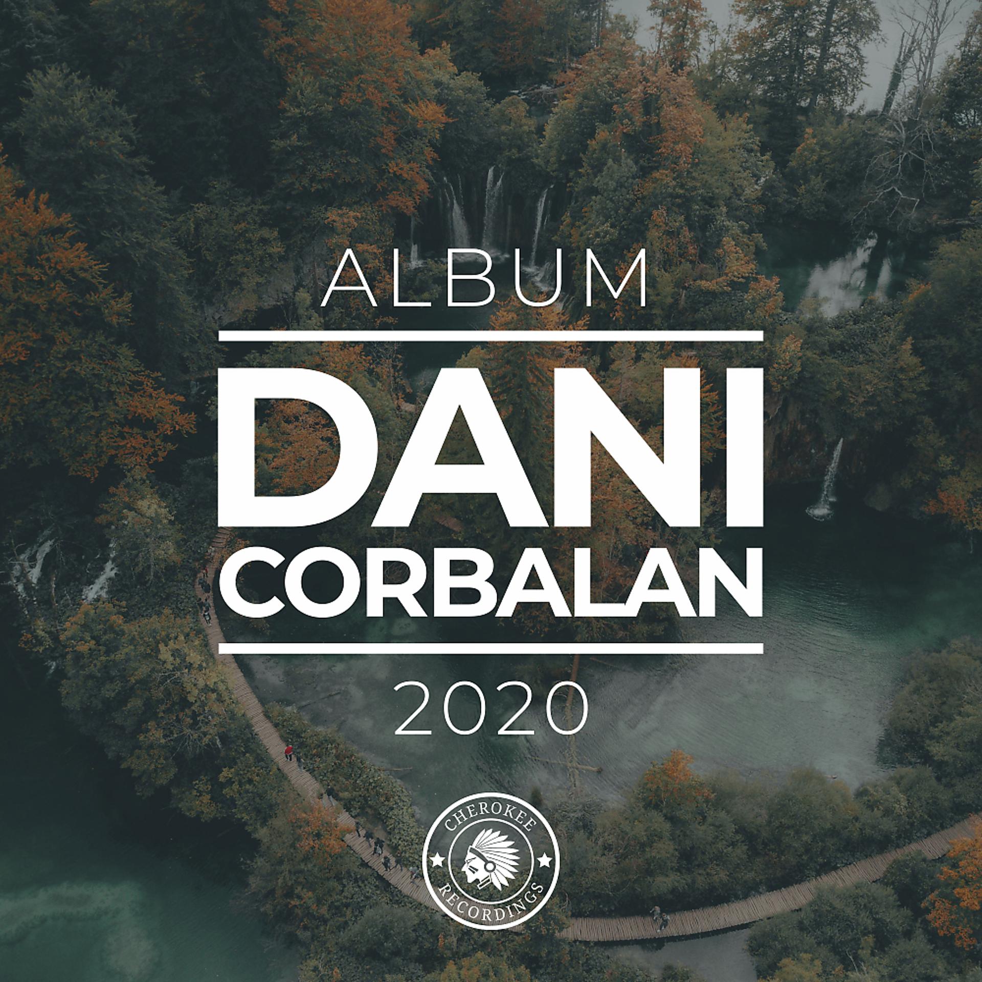 Постер альбома 2020 Album
