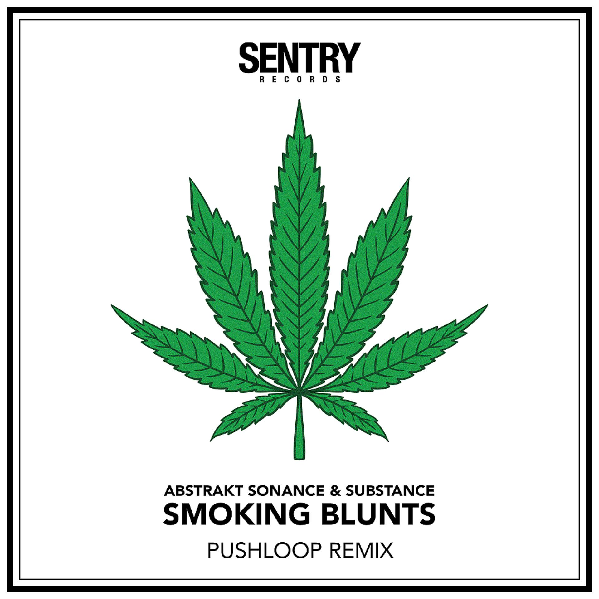 Постер альбома Smoking Blunts (Pushloop Remix)