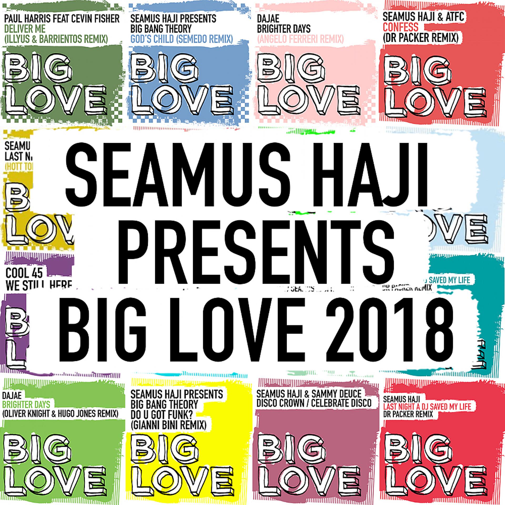 Постер альбома Seamus Haji Presents Big Love 2018