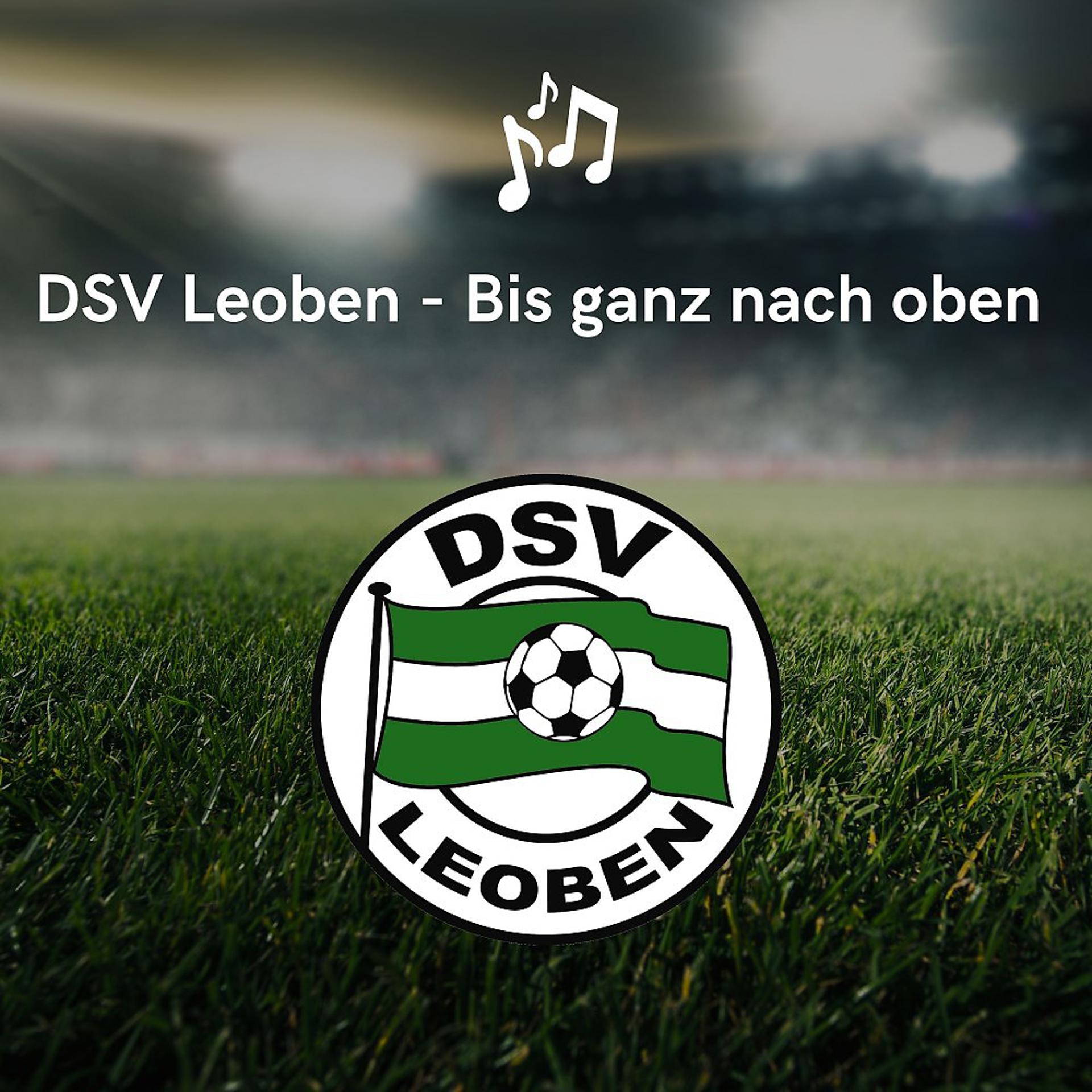 Постер альбома Dsv Leoben-Bis ganz nach oben