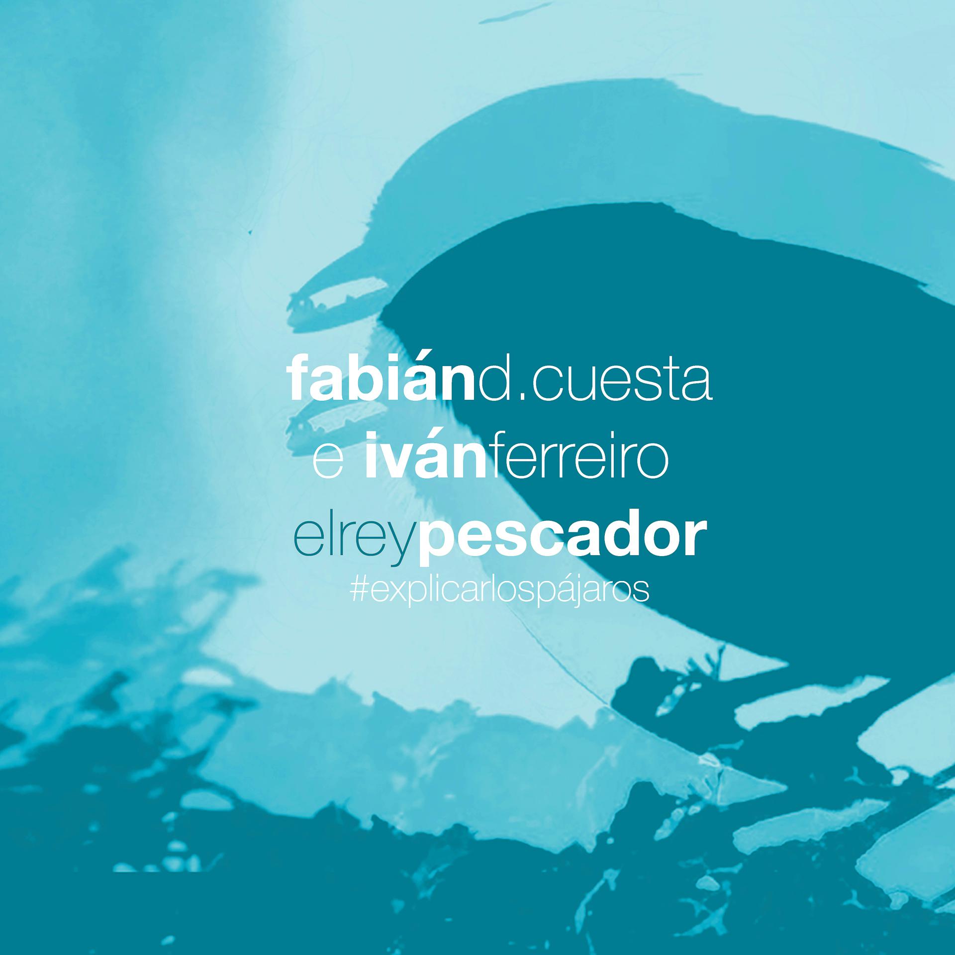 Постер альбома El Rey Pescador - Explicar los pájaros