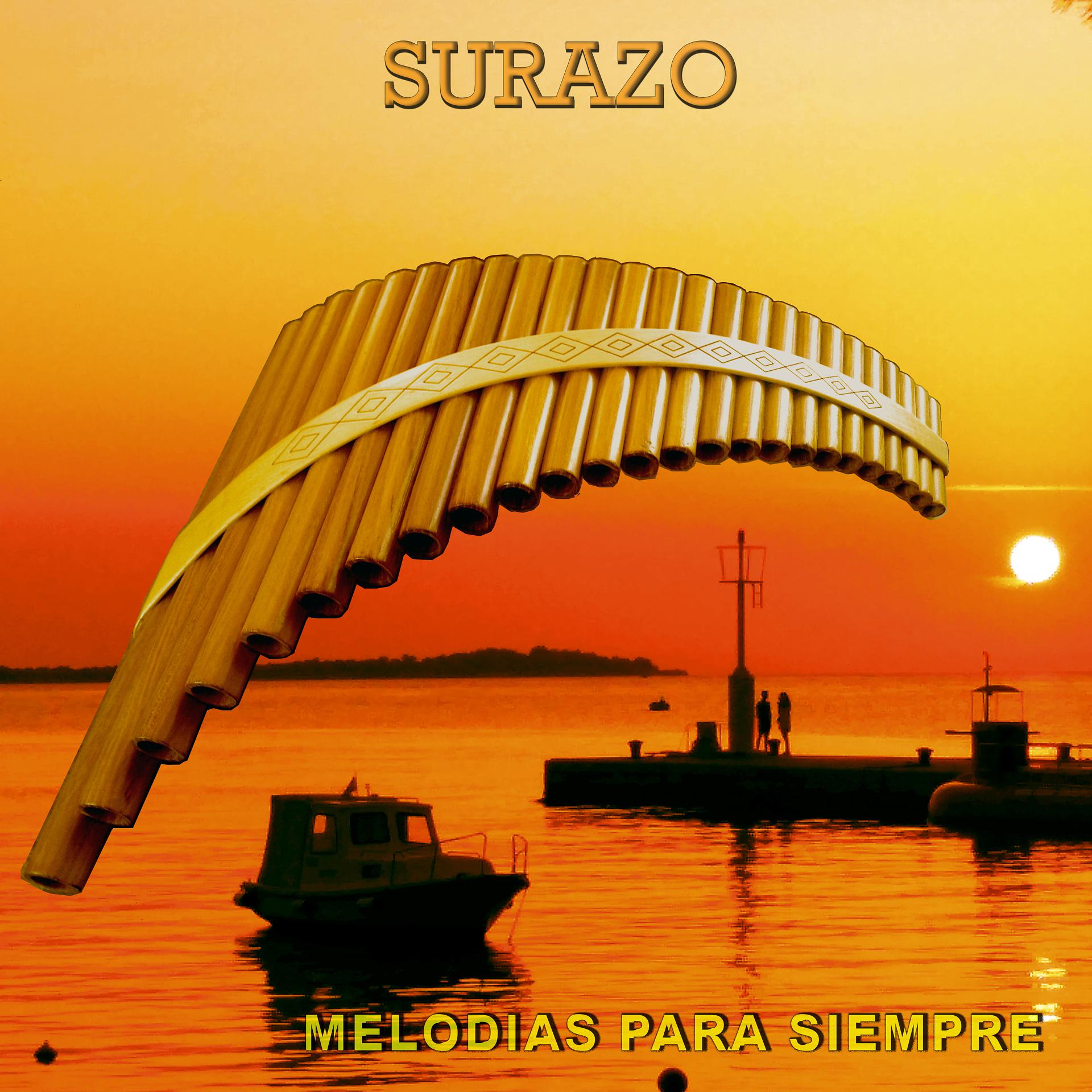 Постер альбома Melodías para Siempre (Instrumental)