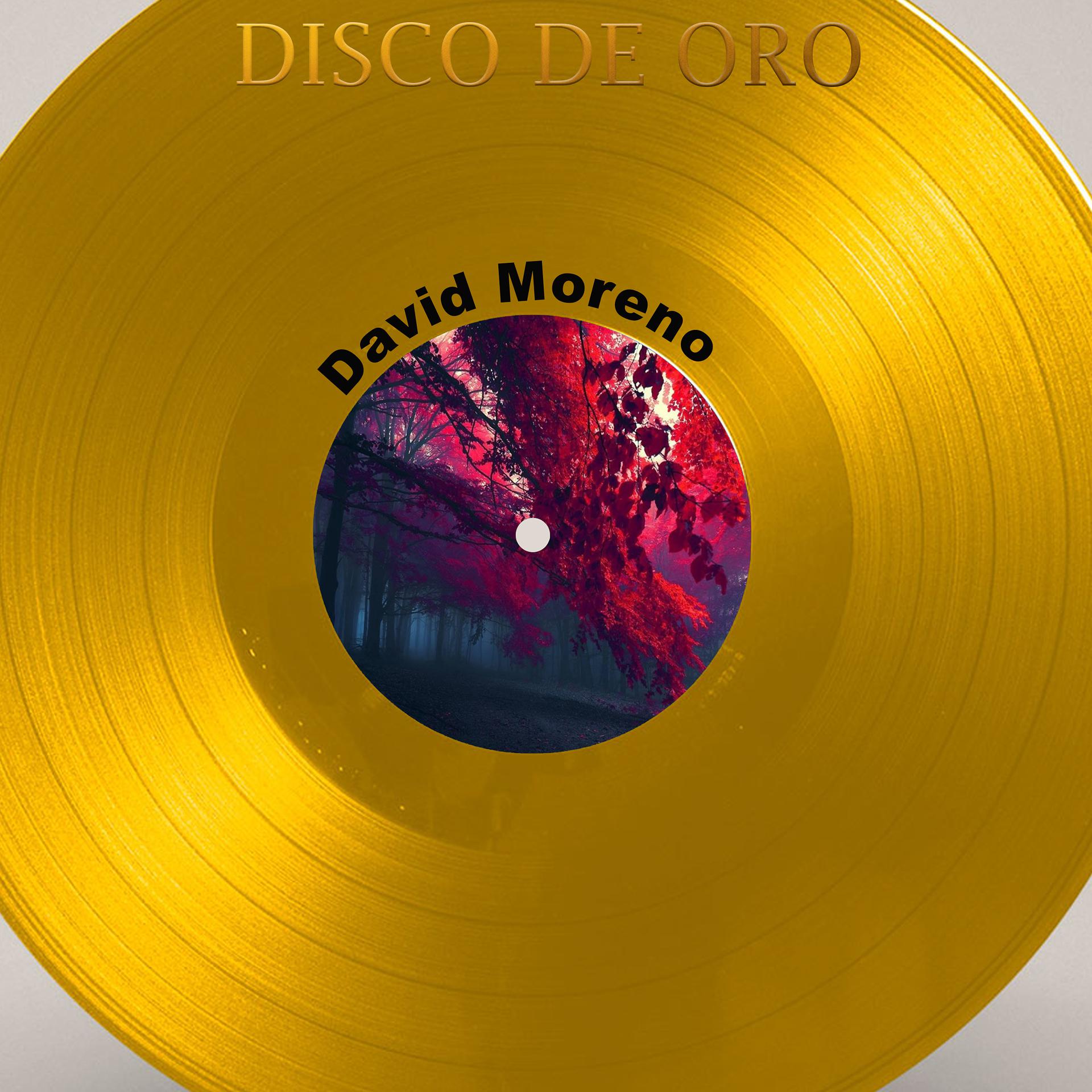 Постер альбома Disco de Oro: David Moreno