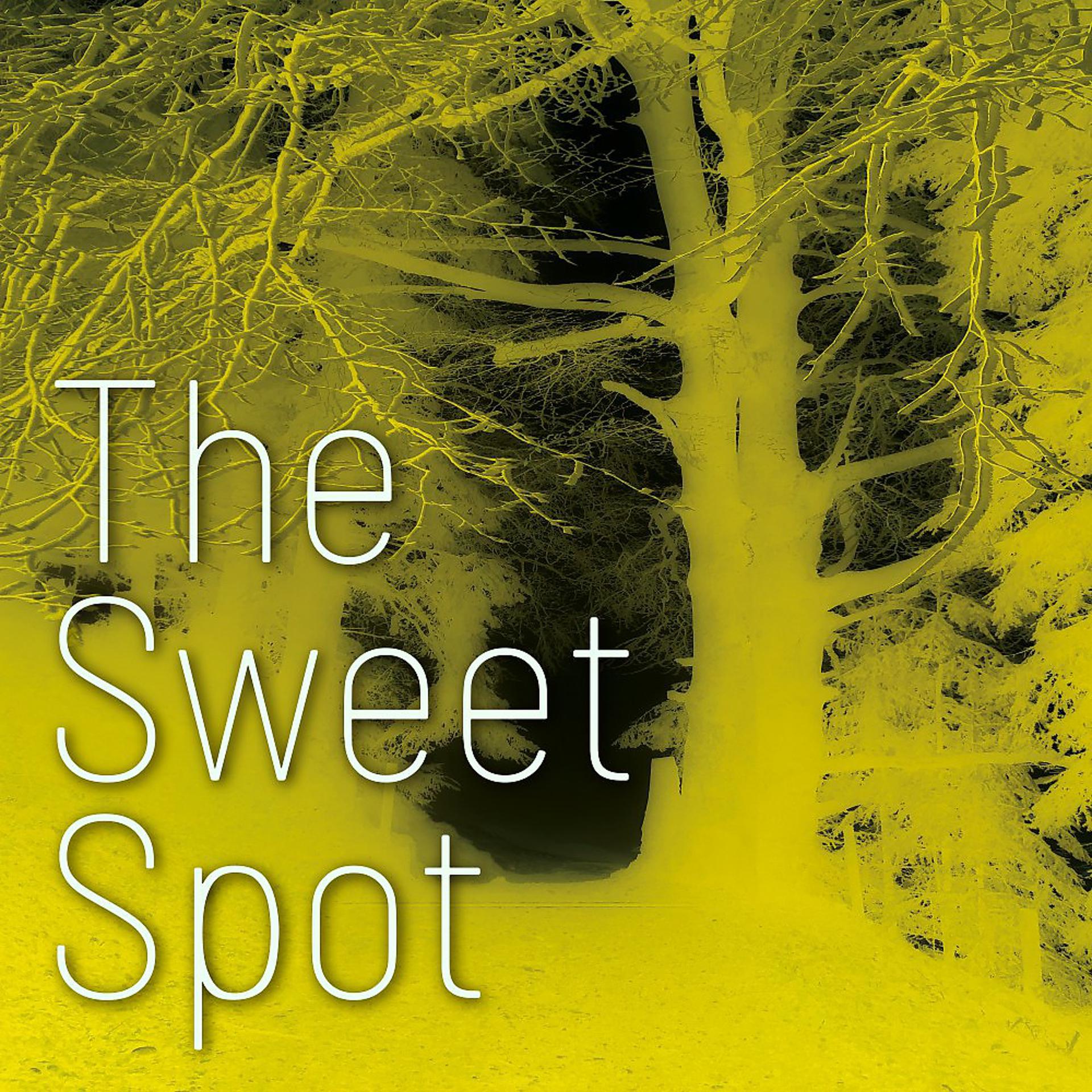 Постер альбома The Sweet Spot