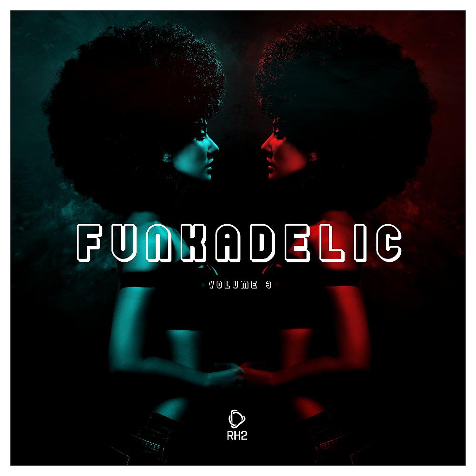 Постер альбома Funkadelic, Vol. 3